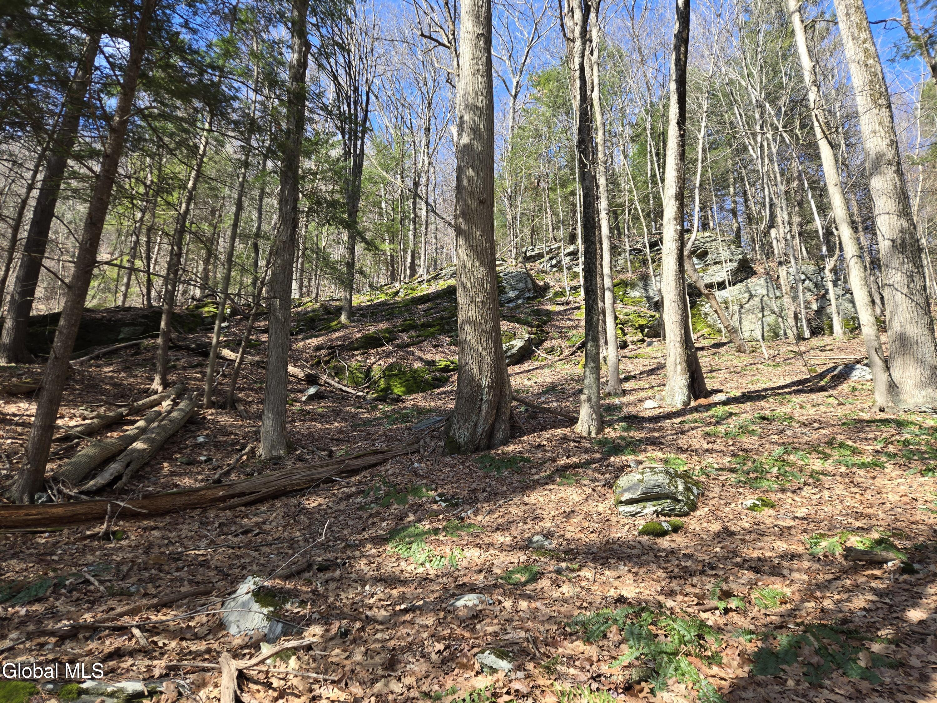 0 Ny 22 North Petersburgh NY 12138