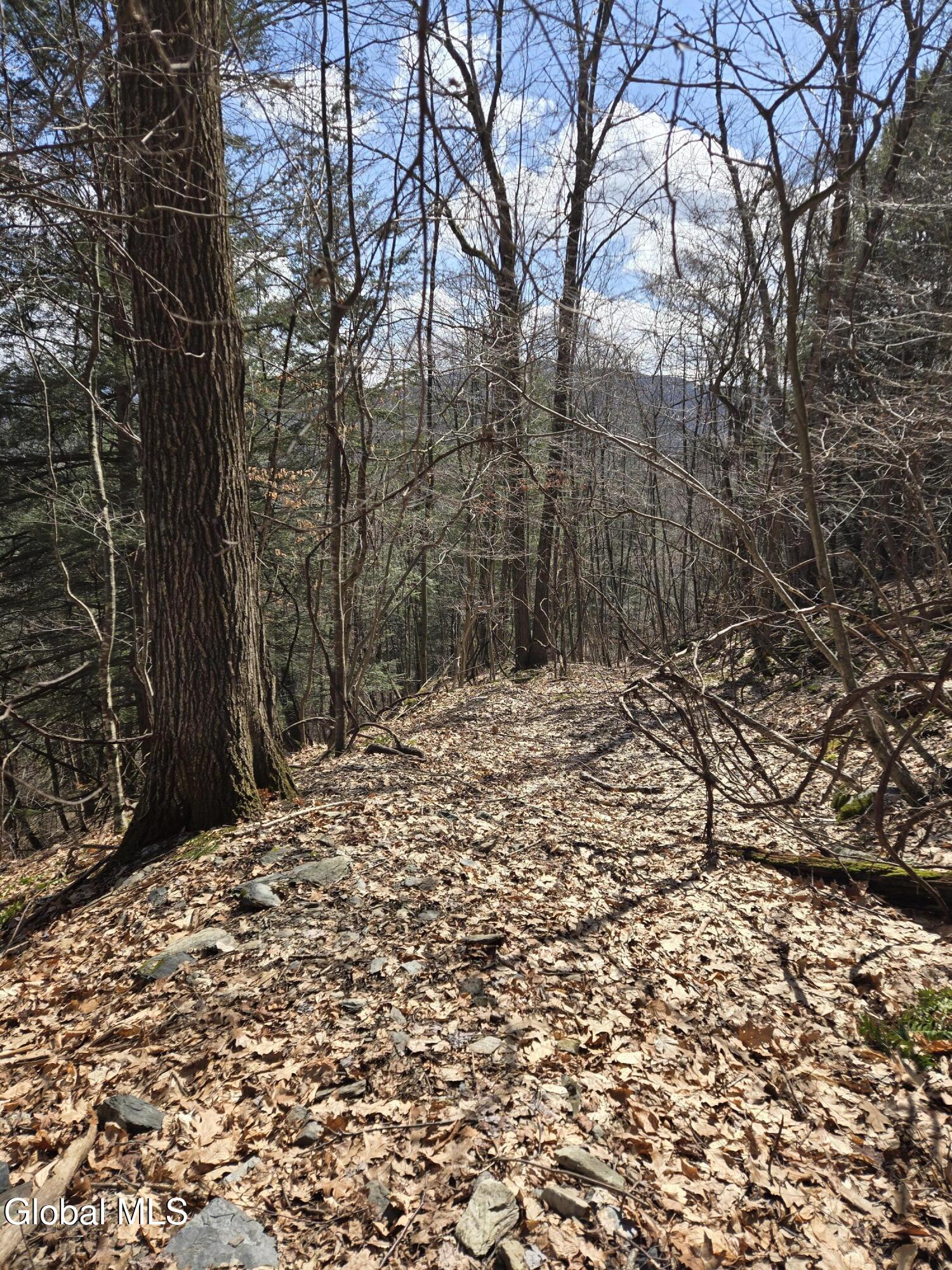 0 Ny 22 North Petersburgh NY 12138