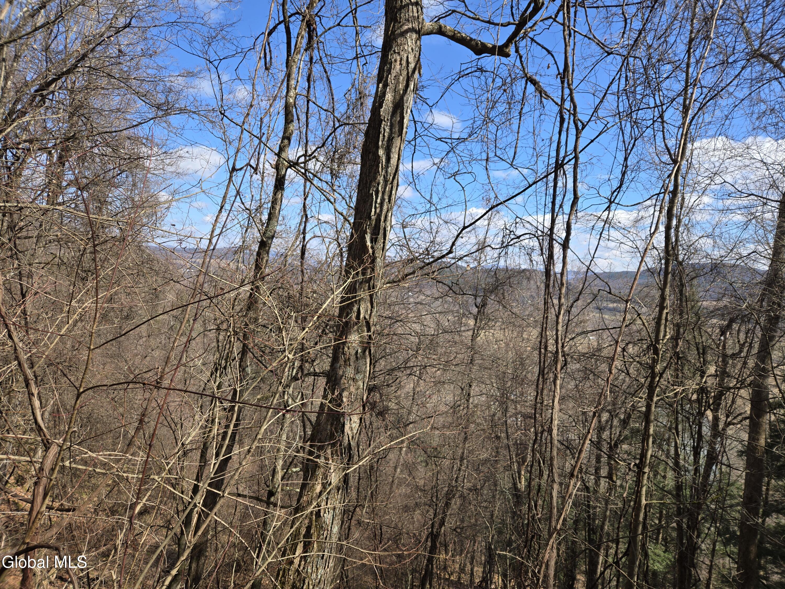 0 Ny 22 North Petersburgh NY 12138