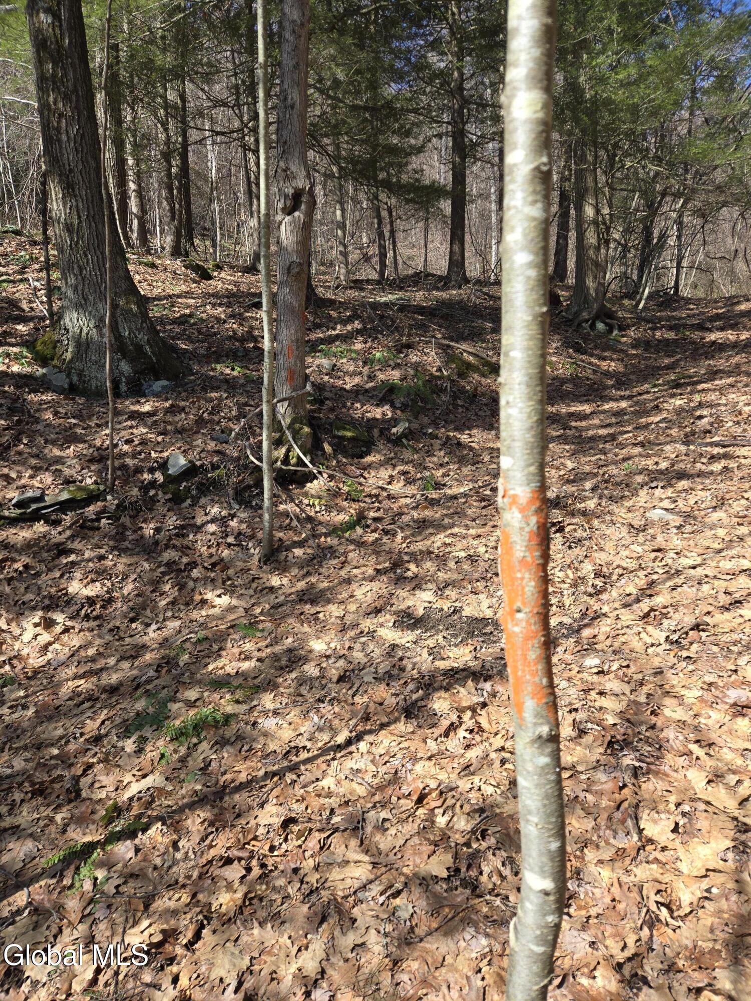 0 Ny 22 North Petersburgh NY 12138