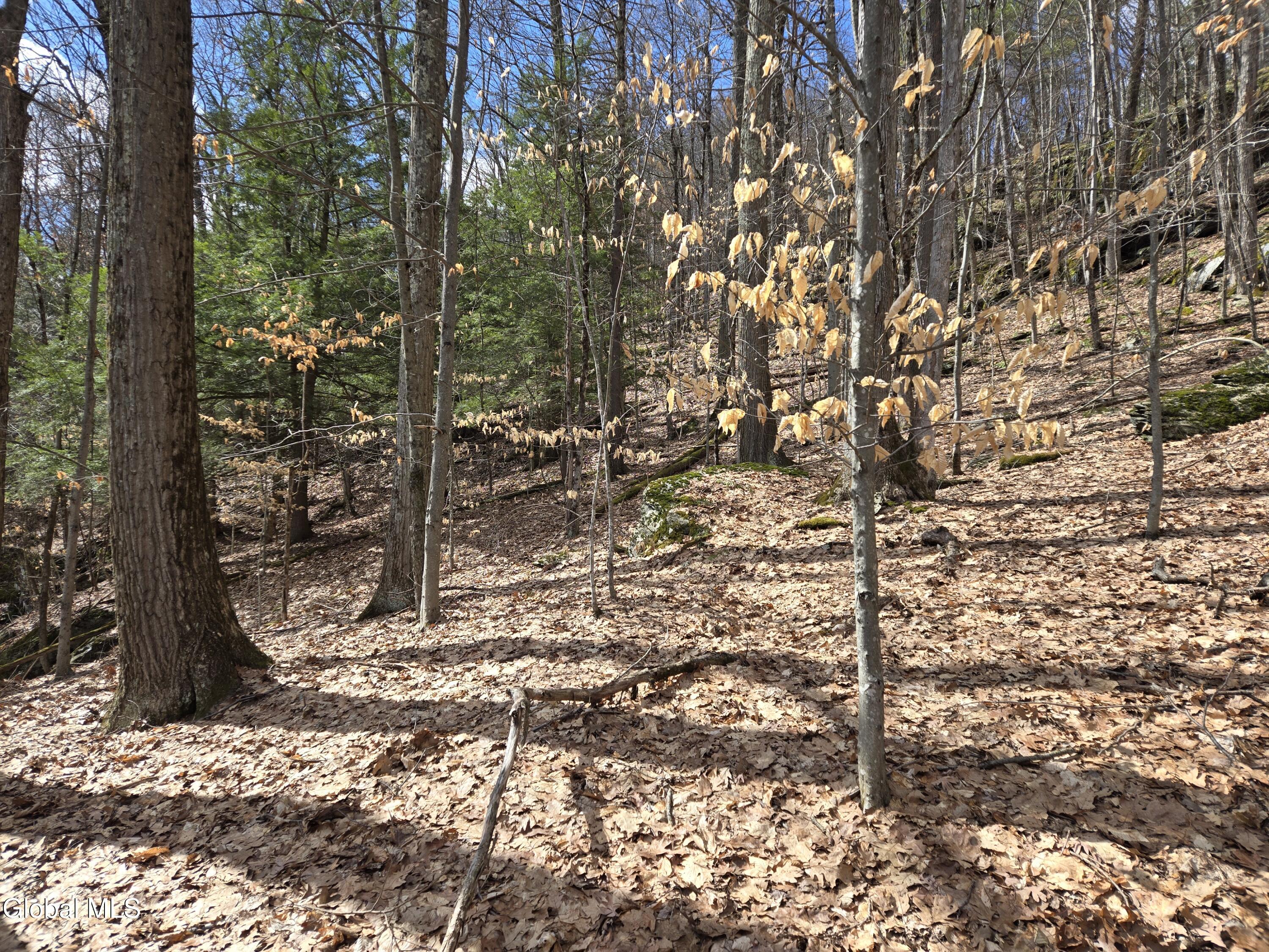 0 Ny 22 North Petersburgh NY 12138