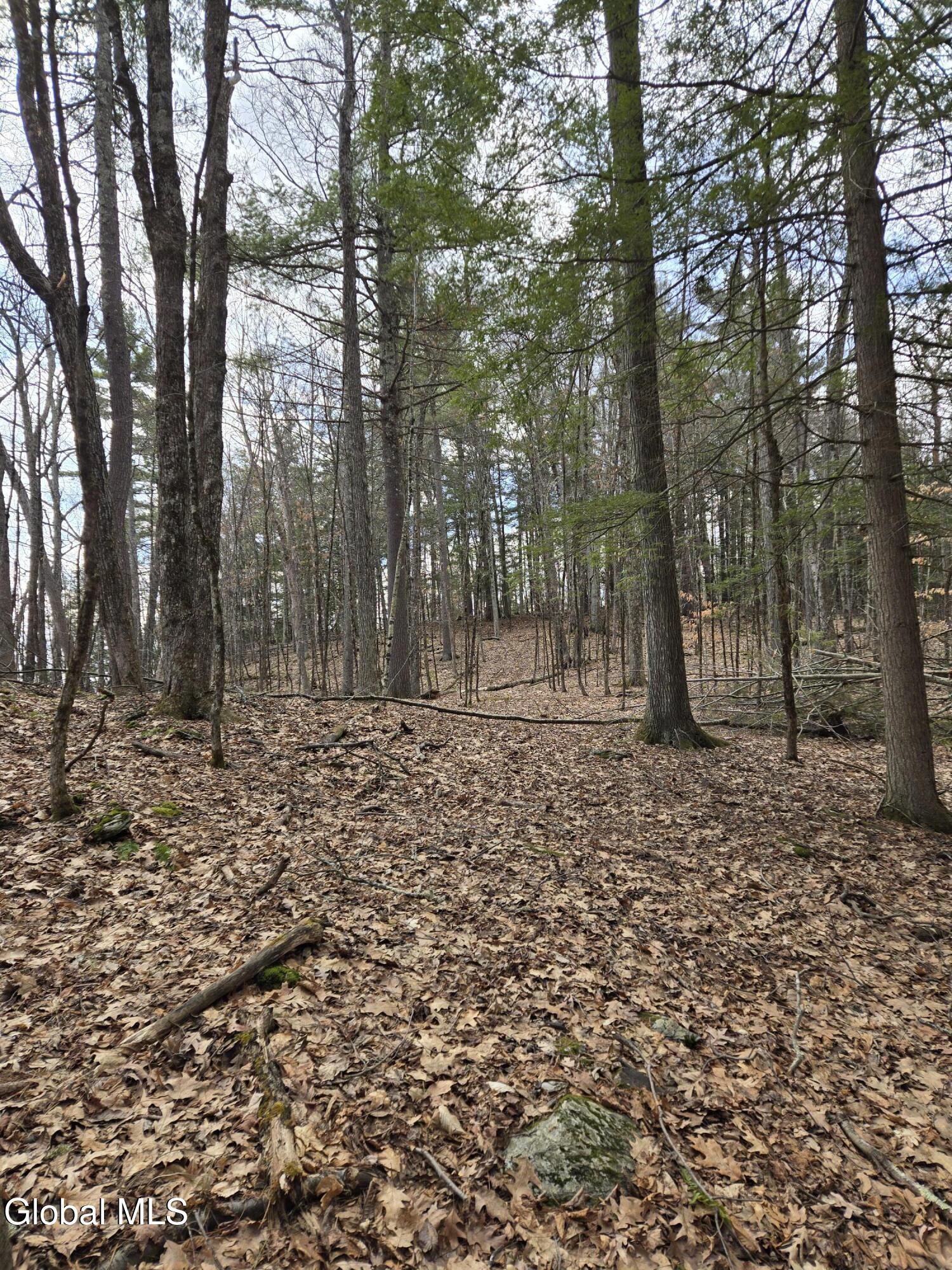 0 Ny 22 North Petersburgh NY 12138