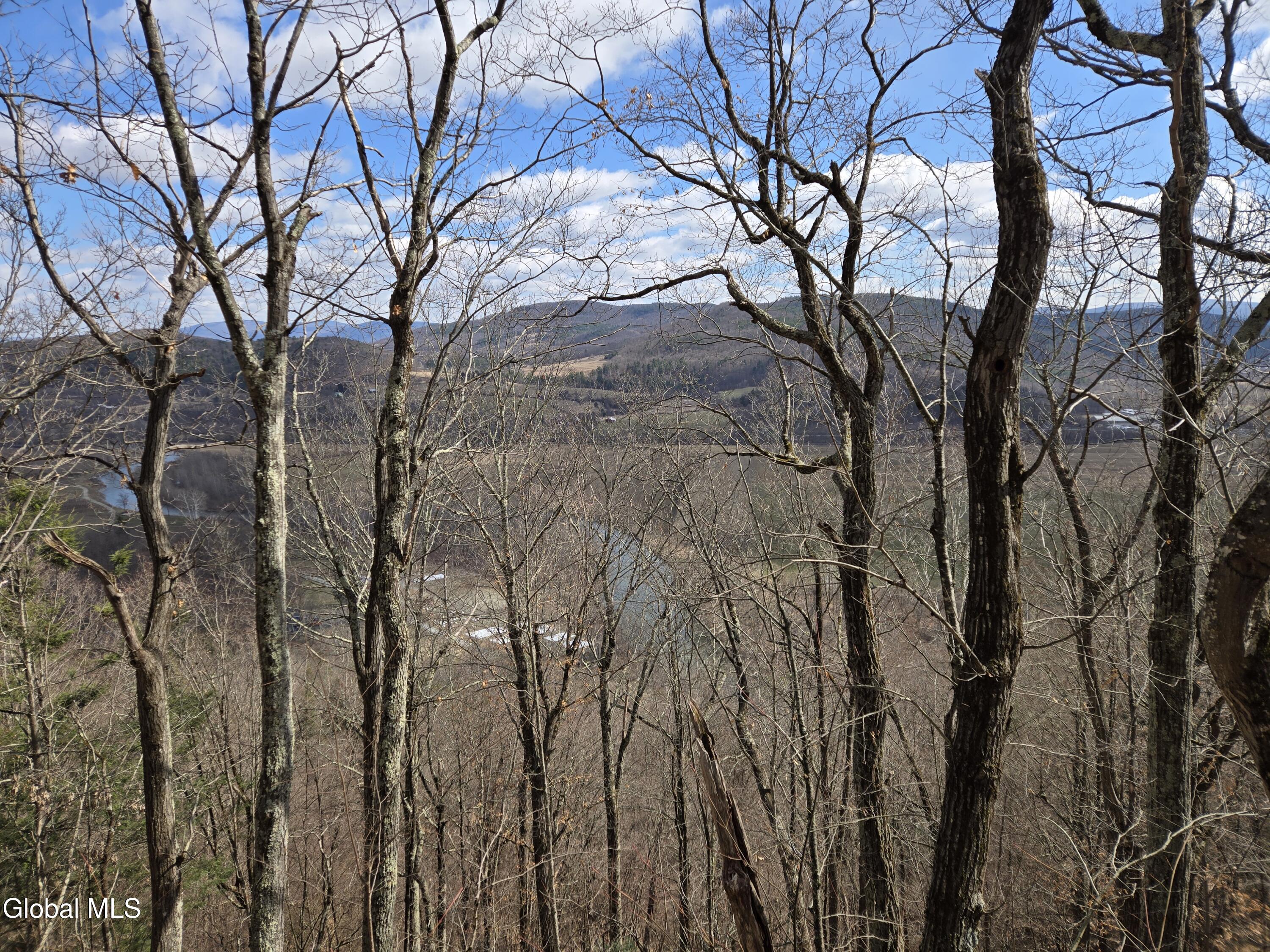 0 Ny 22 North Petersburgh NY 12138