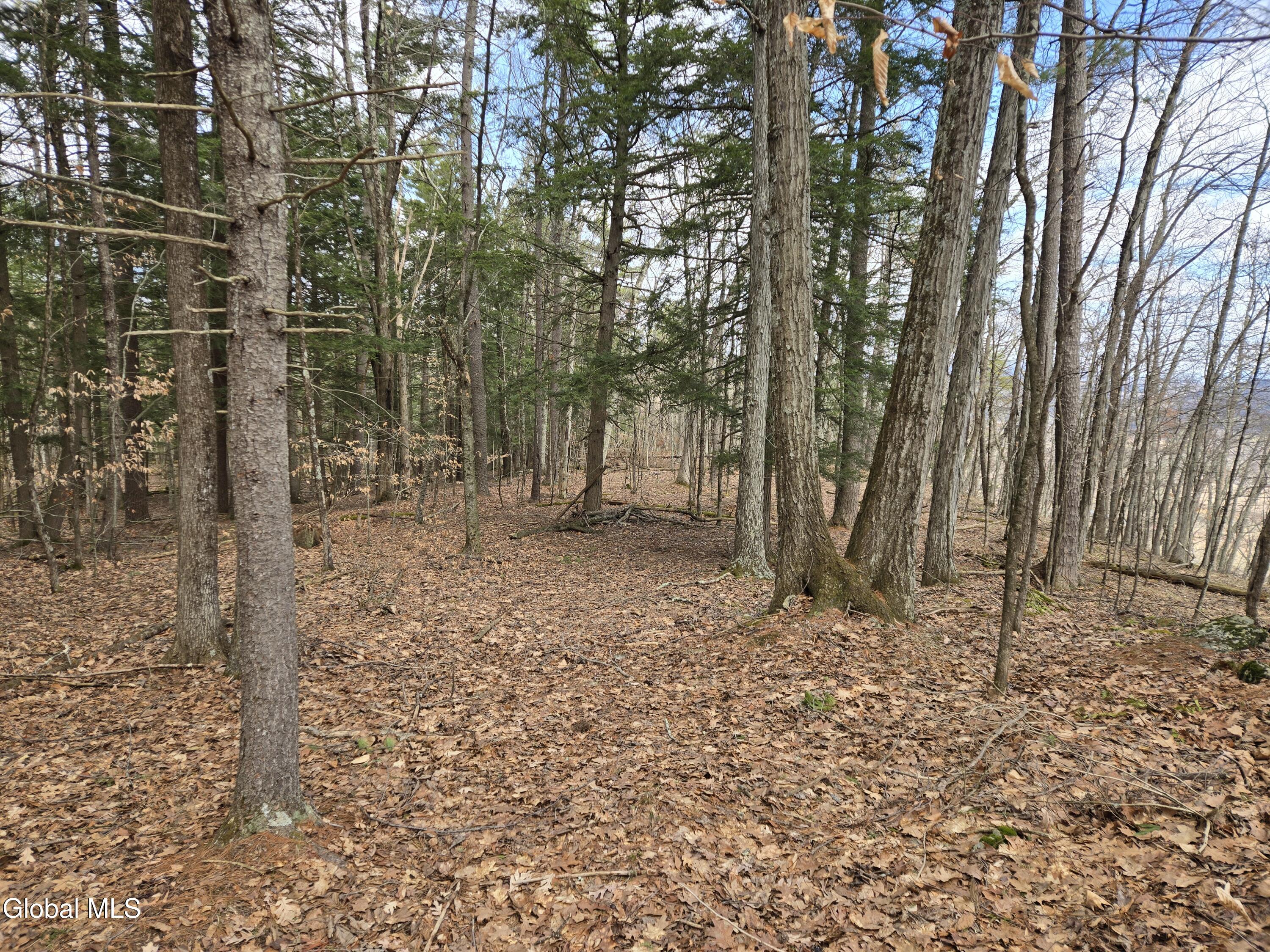 0 Ny 22 North Petersburgh NY 12138