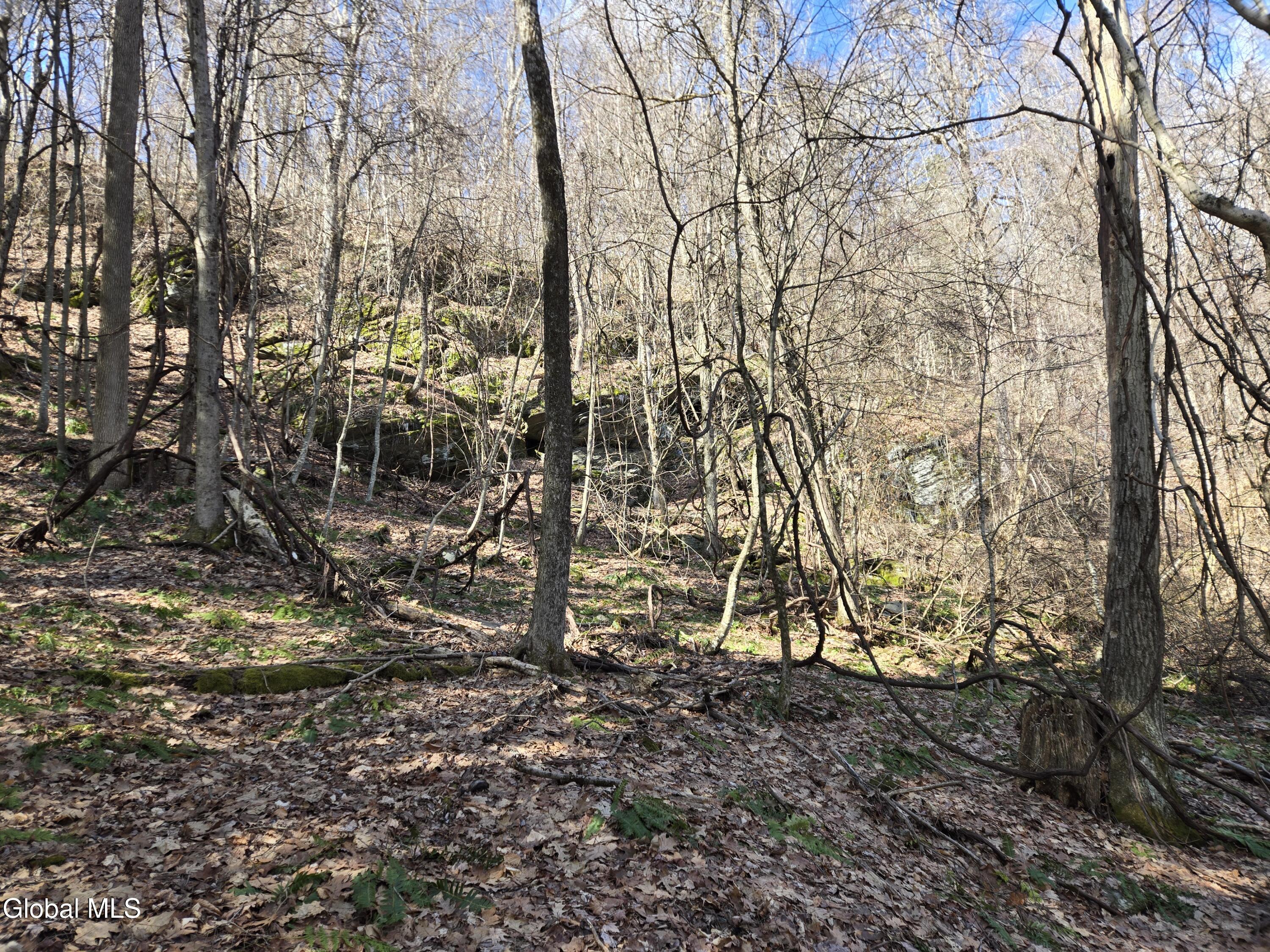 0 Ny 22 North Petersburgh NY 12138