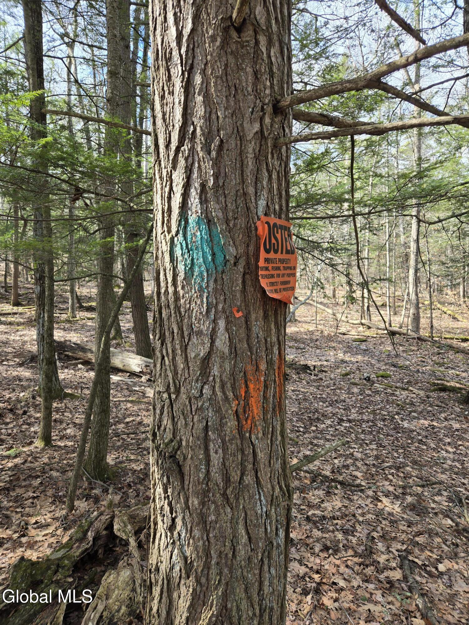 0 Ny 22 North Petersburgh NY 12138