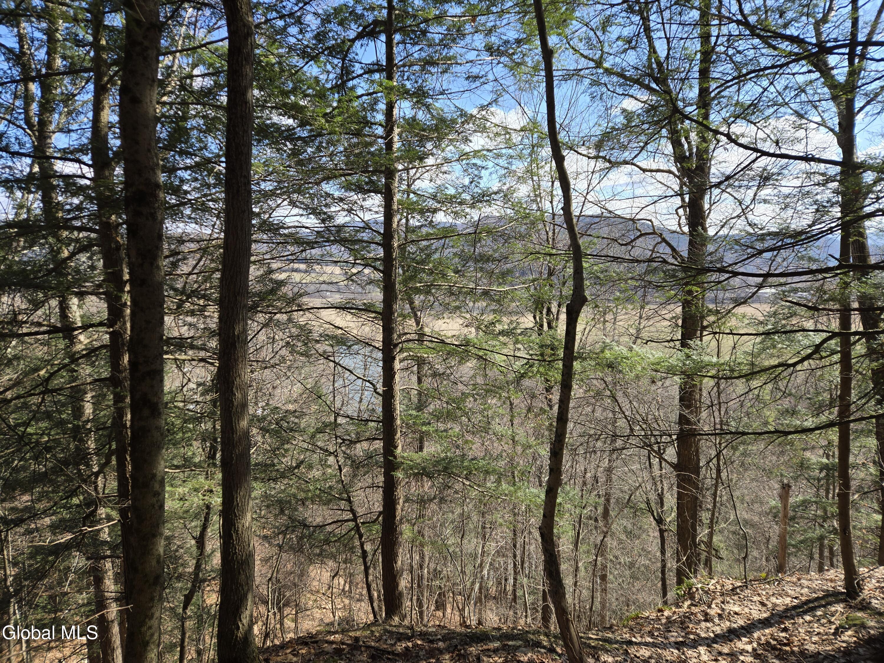 0 Ny 22 North Petersburgh NY 12138