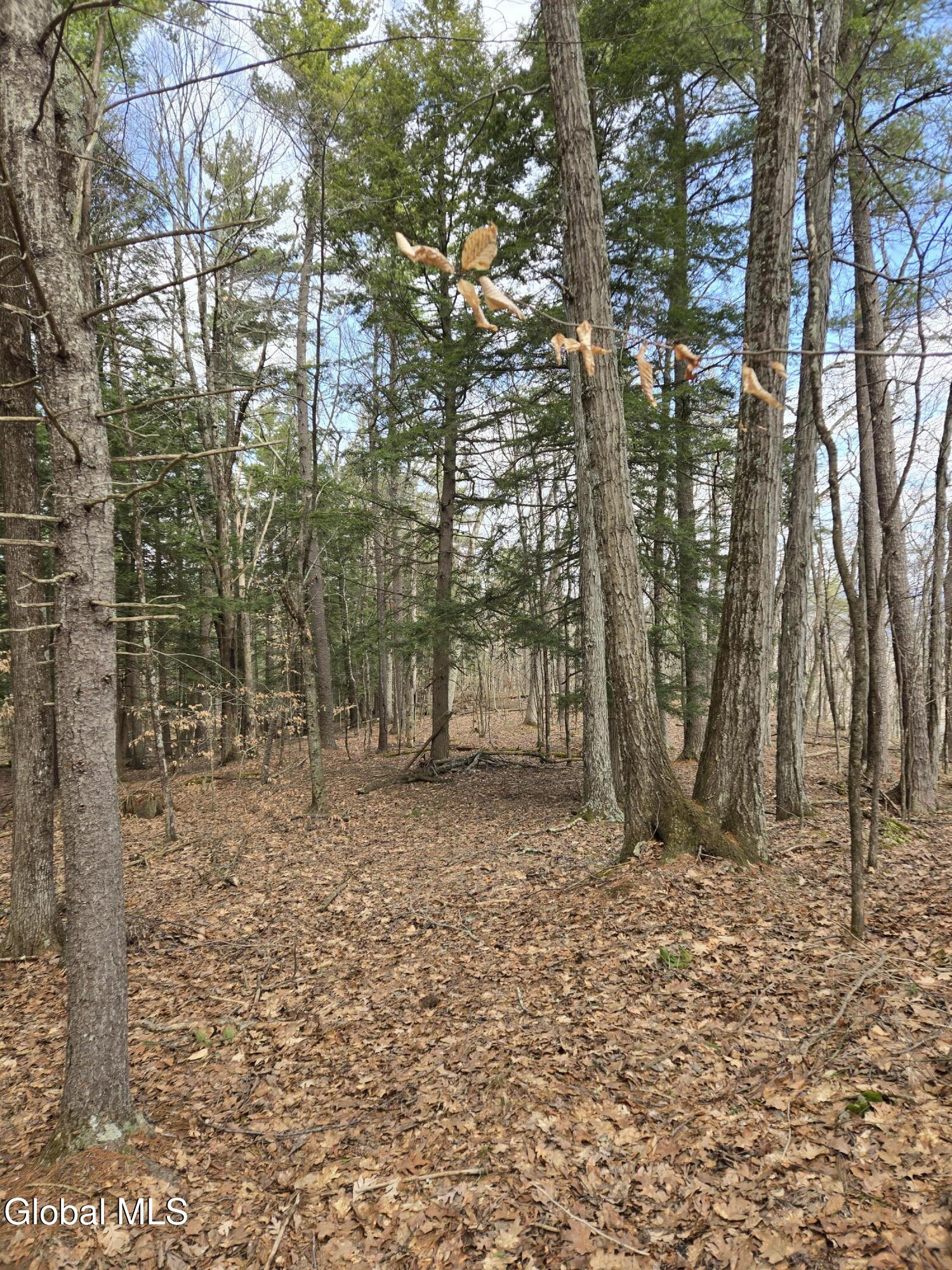 0 Ny 22 North Petersburgh NY 12138