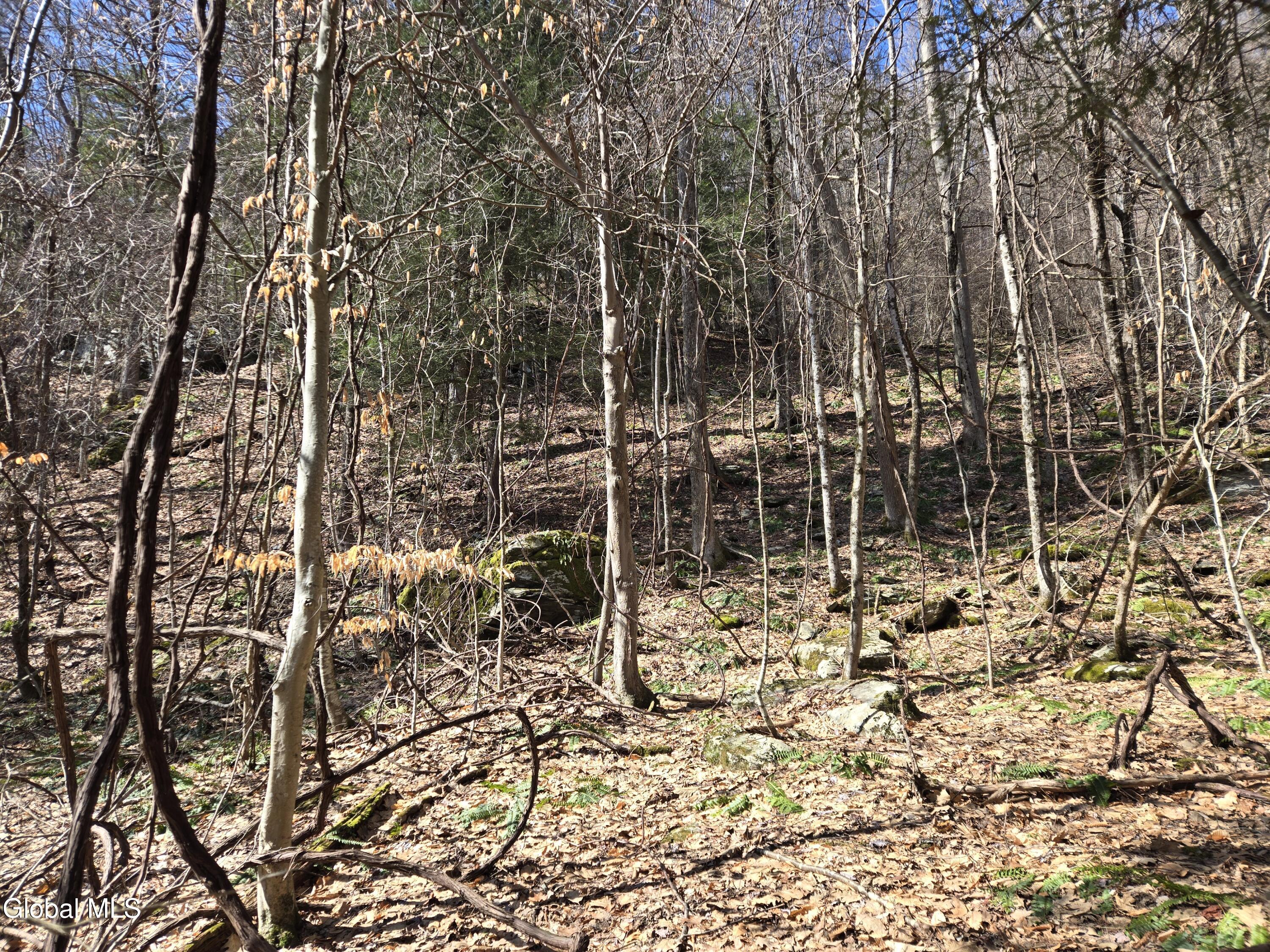 0 Ny 22 North Petersburgh NY 12138