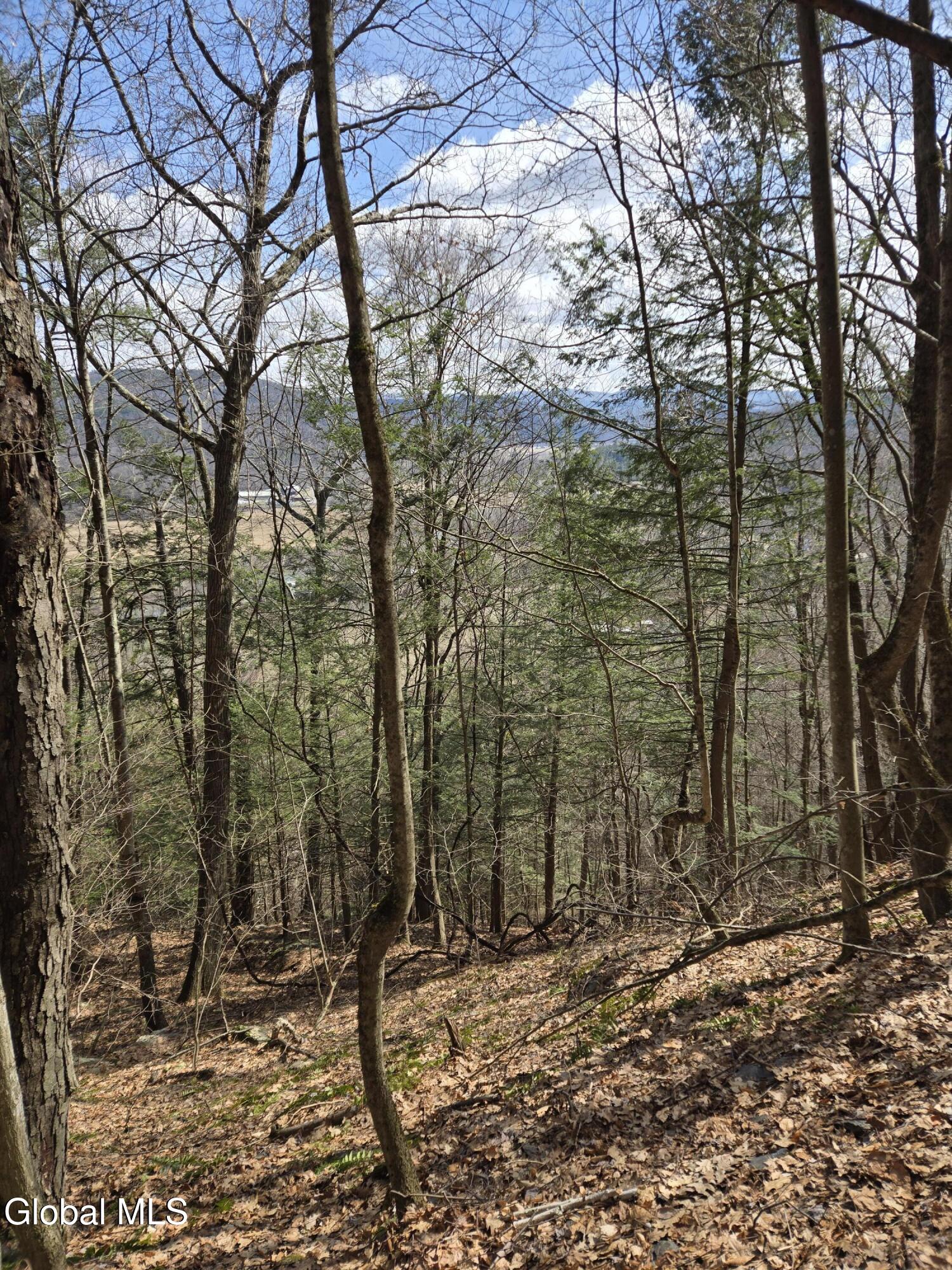 0 Ny 22 North Petersburgh NY 12138