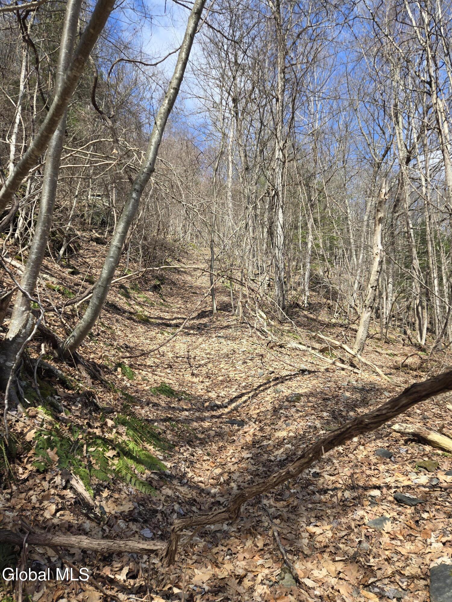 0 Ny 22 North Petersburgh NY 12138