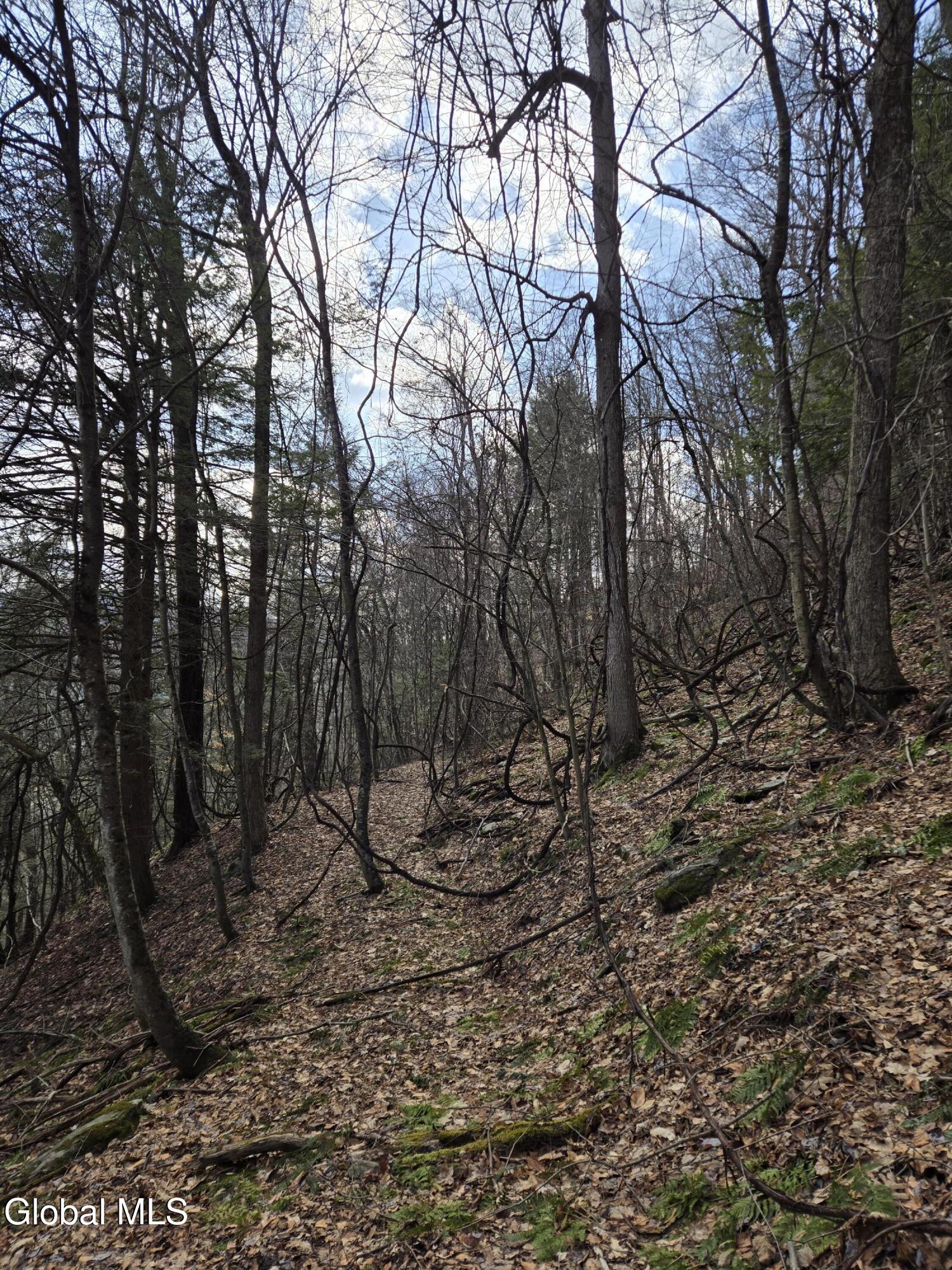 0 Ny 22 North Petersburgh NY 12138