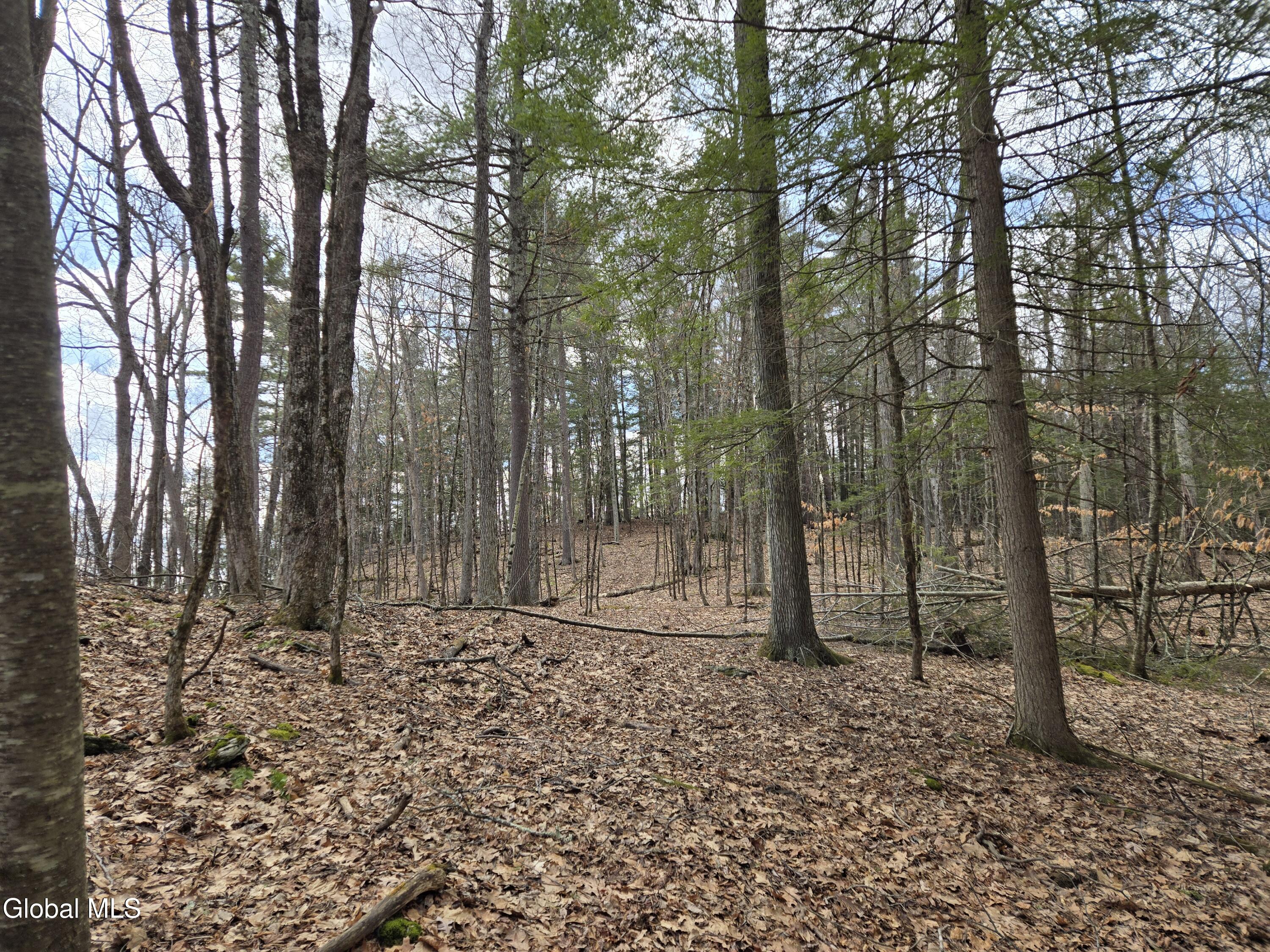 0 Ny 22 North Petersburgh NY 12138