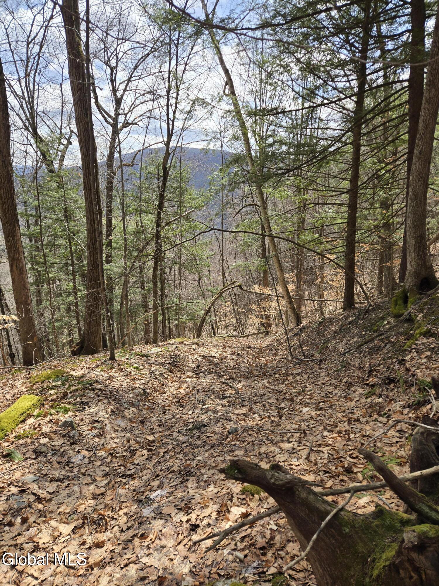 0 Ny 22 North Petersburgh NY 12138