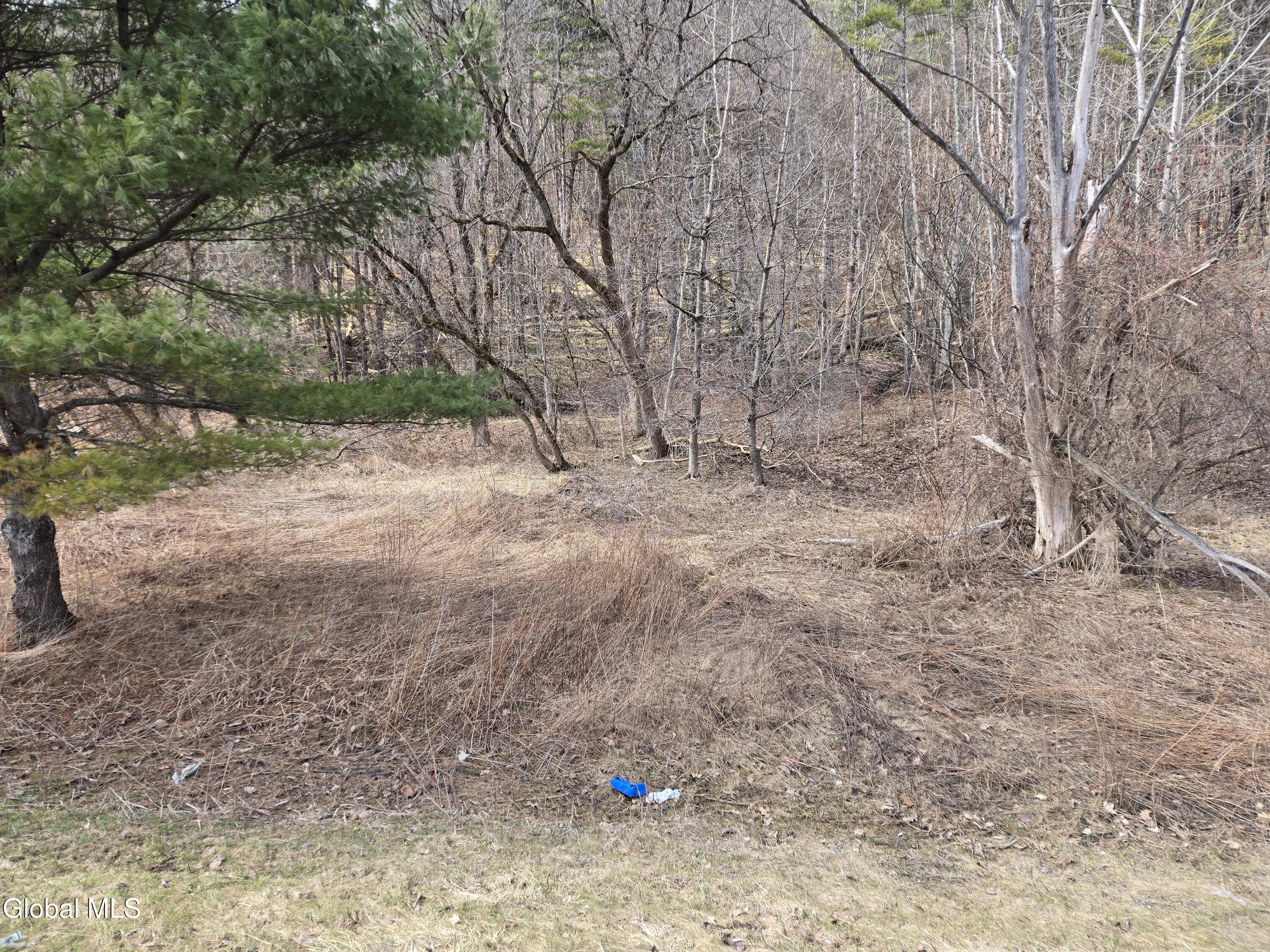 0 Ny 22 North Petersburgh NY 12138