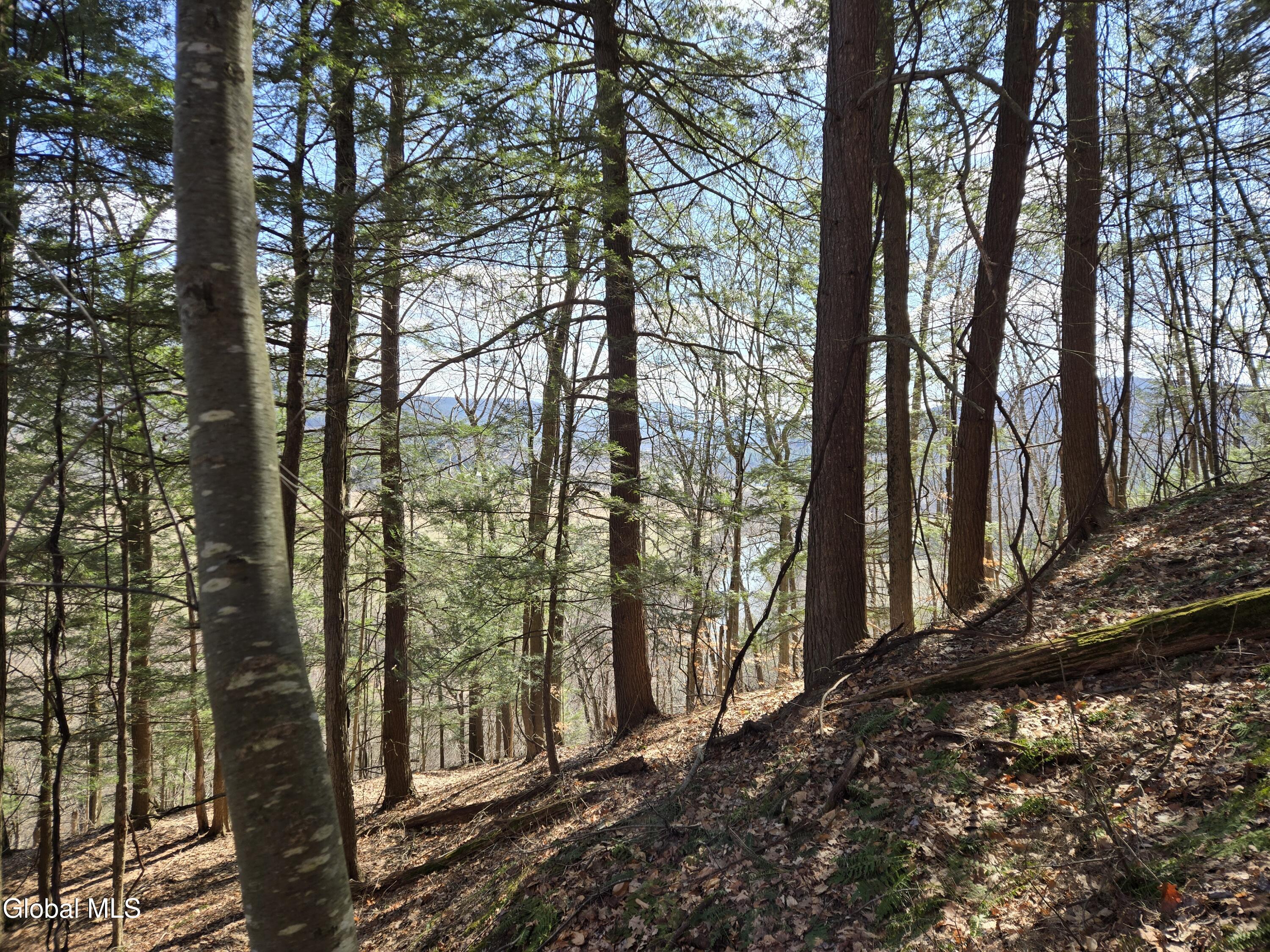 0 Ny 22 North Petersburgh NY 12138