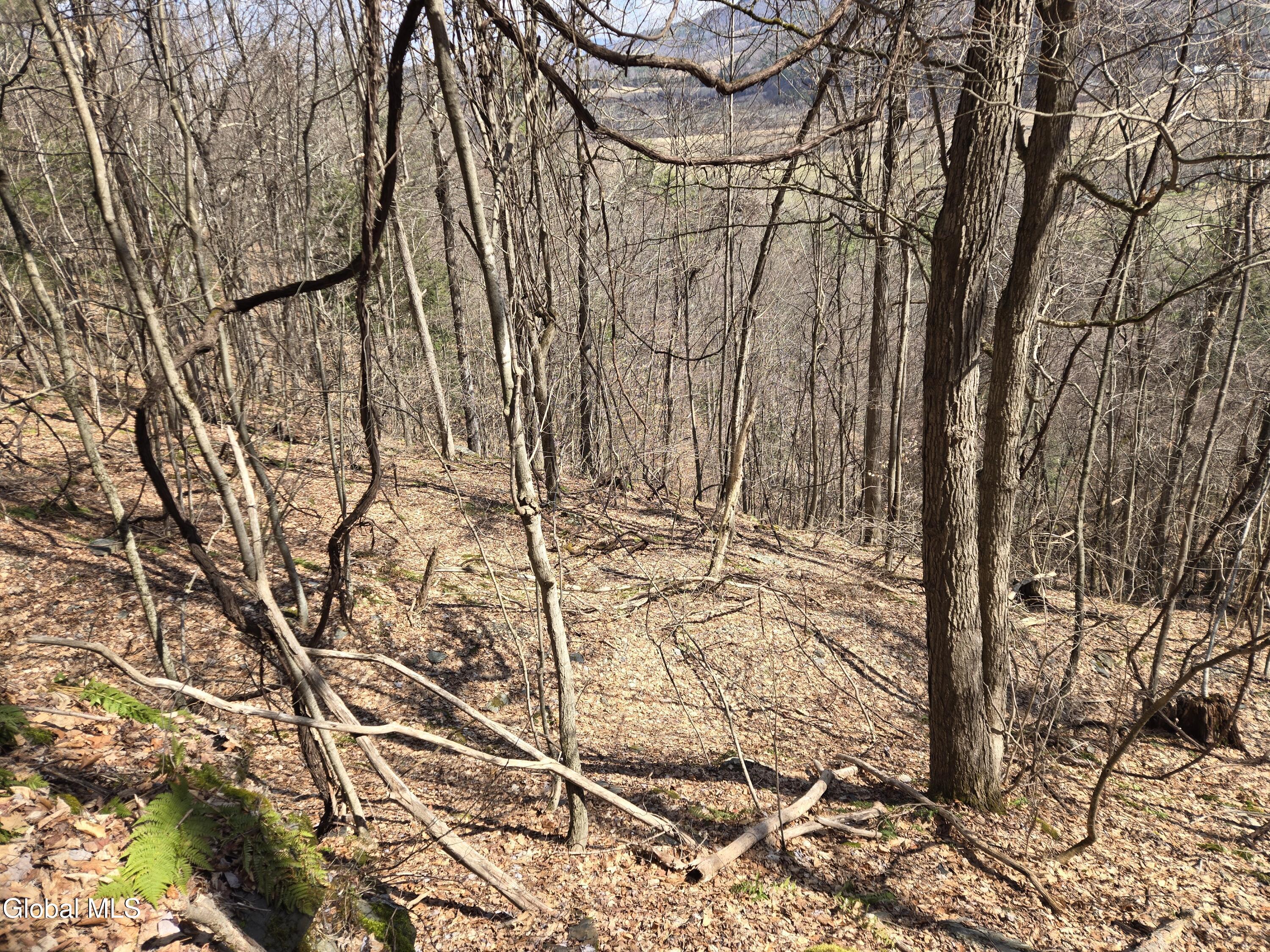 0 Ny 22 North Petersburgh NY 12138