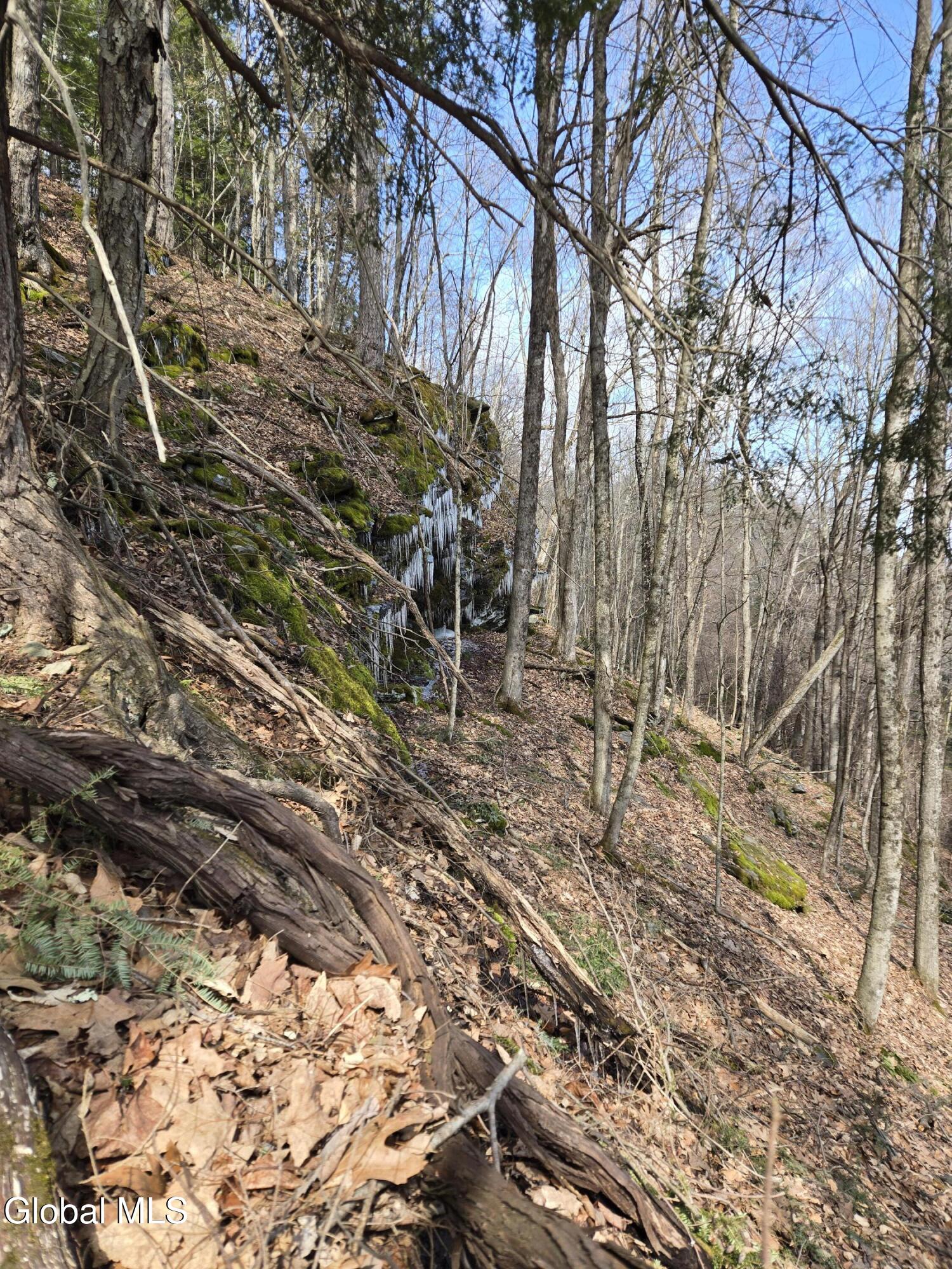 0 Ny 22 North Petersburgh NY 12138