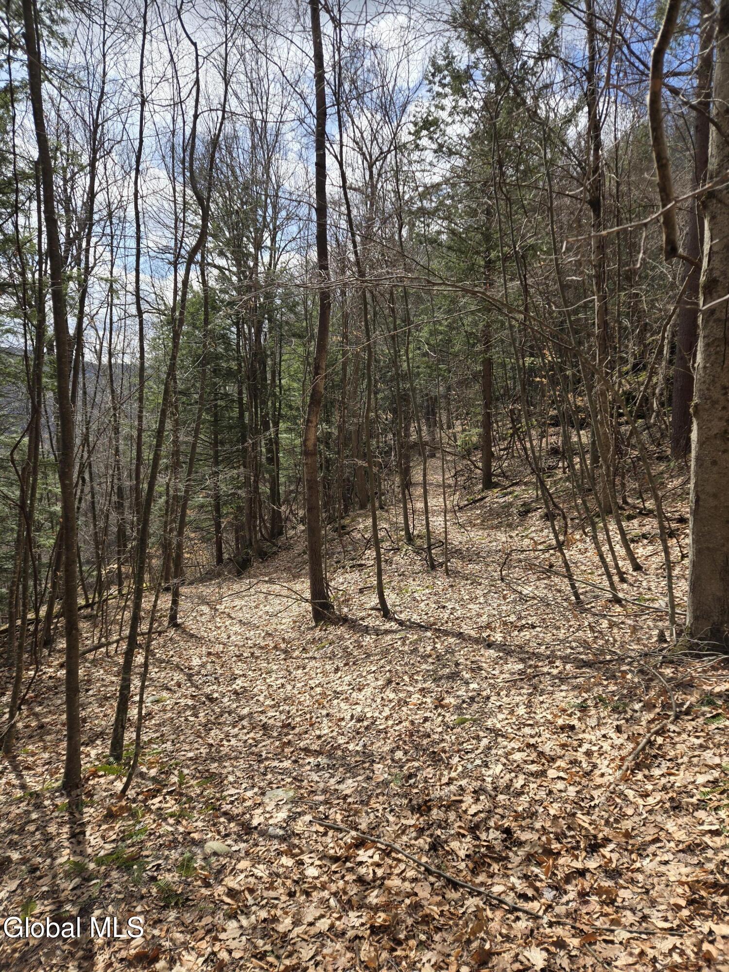 0 Ny 22 North Petersburgh NY 12138