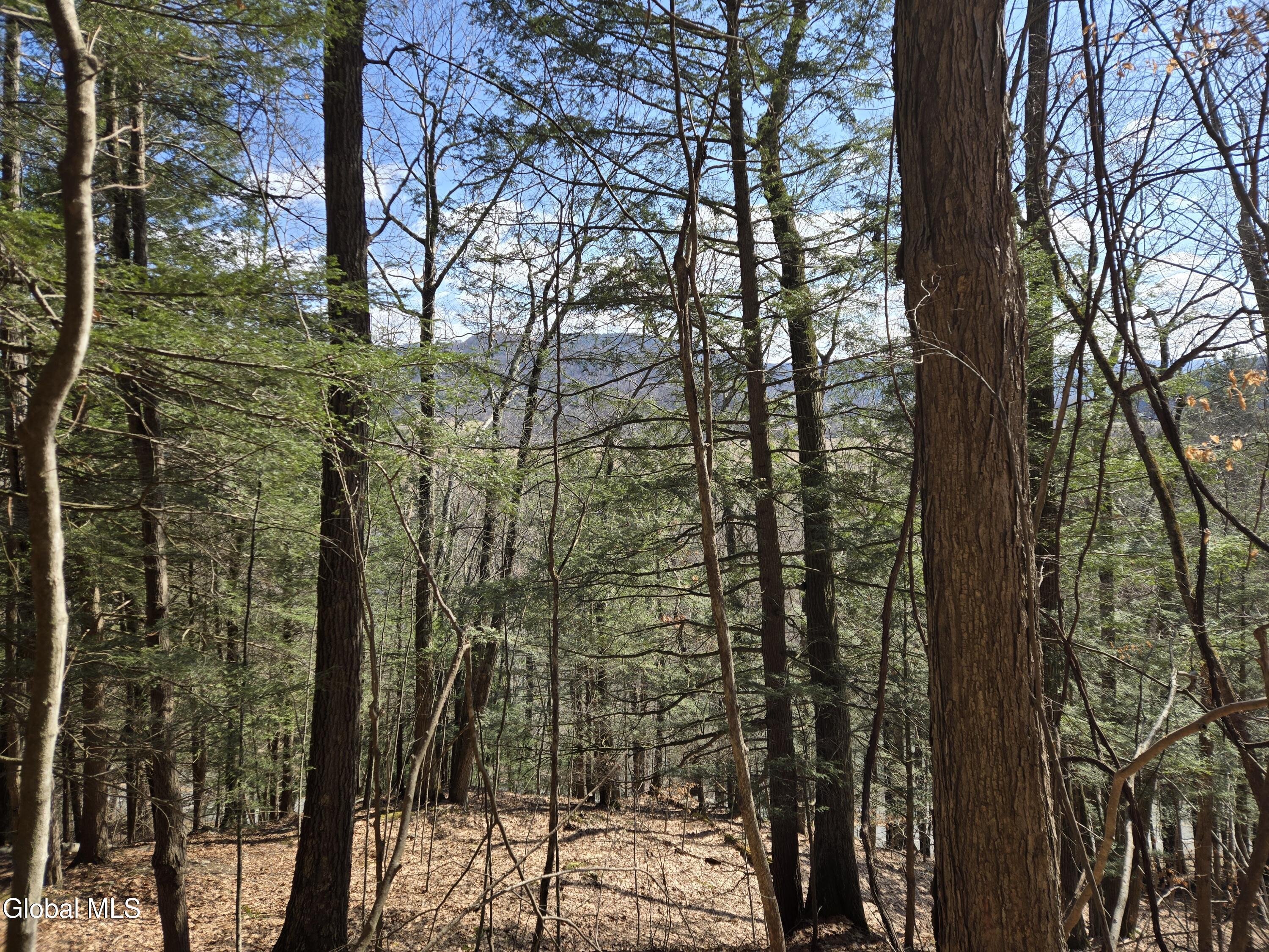 0 Ny 22 North Petersburgh NY 12138