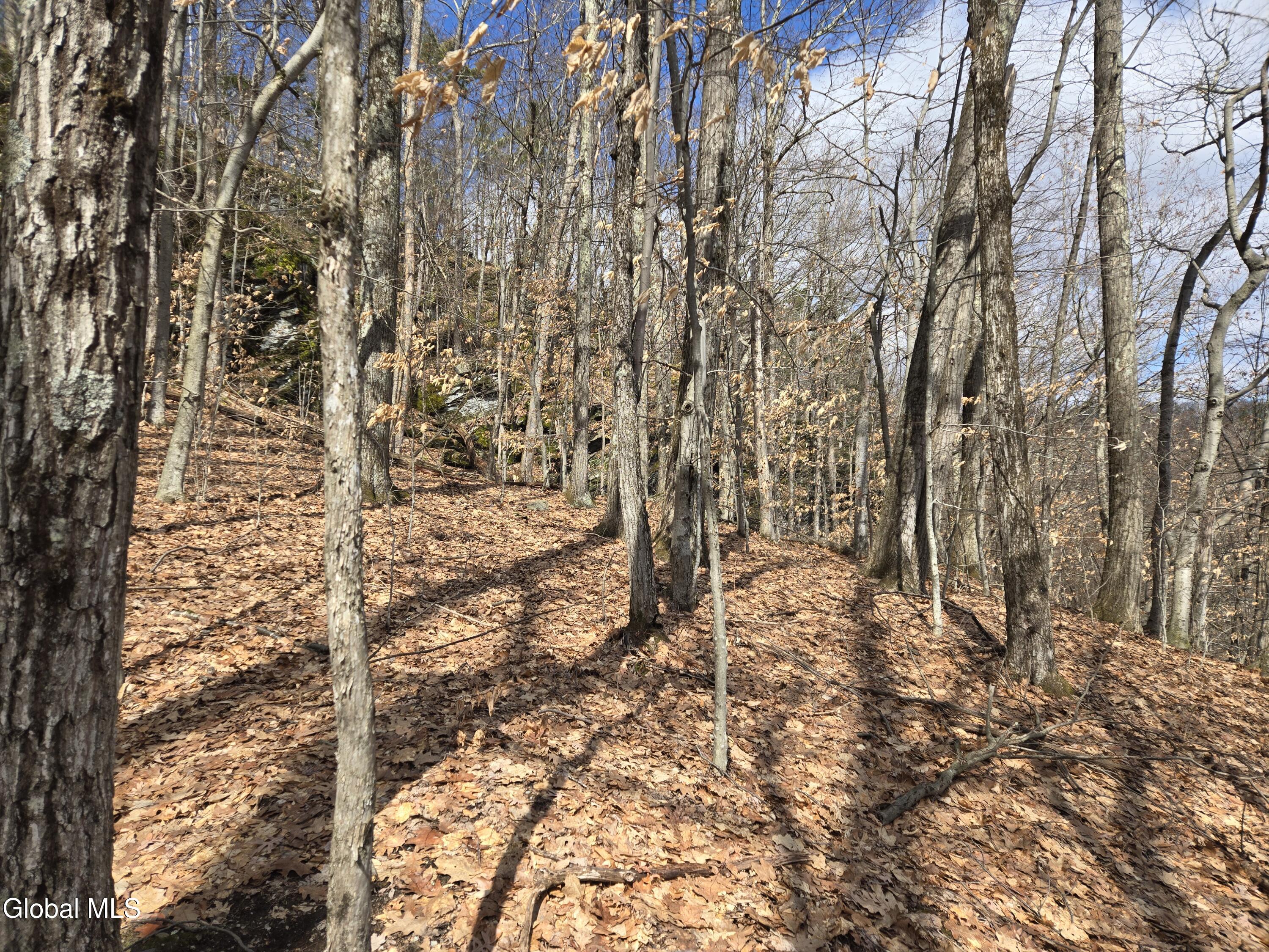 0 Ny 22 North Petersburgh NY 12138