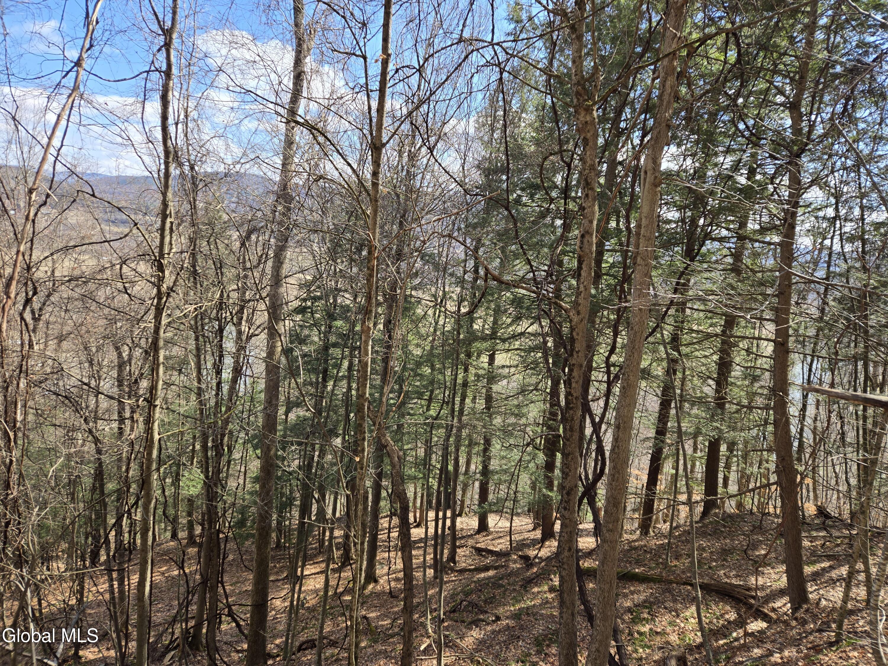 0 Ny 22 North Petersburgh NY 12138