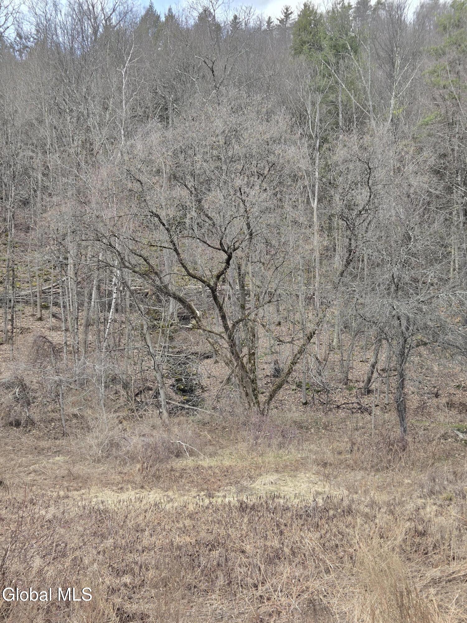 0 Ny 22 North Petersburgh NY 12138