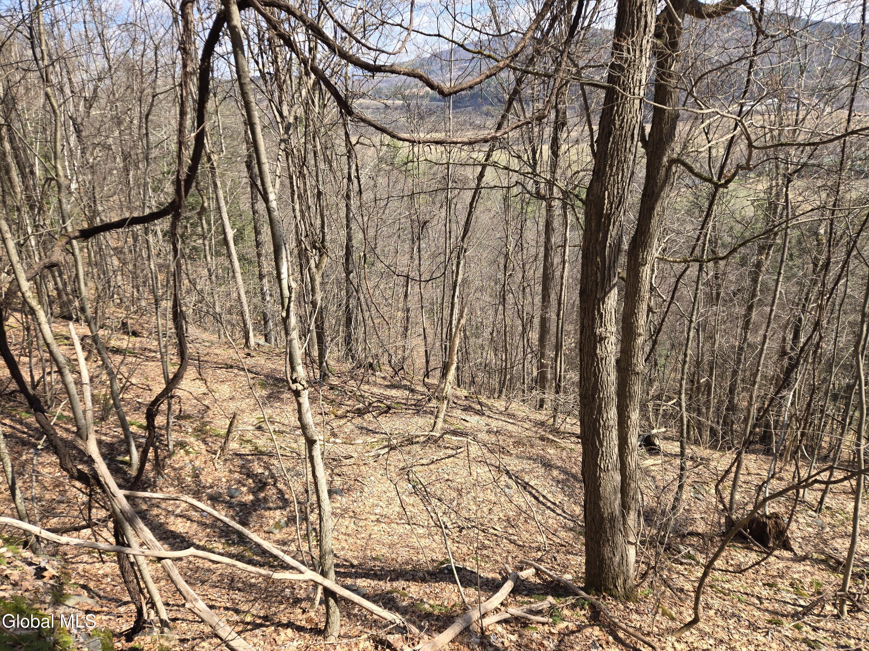 0 Ny 22 North Petersburgh NY 12138