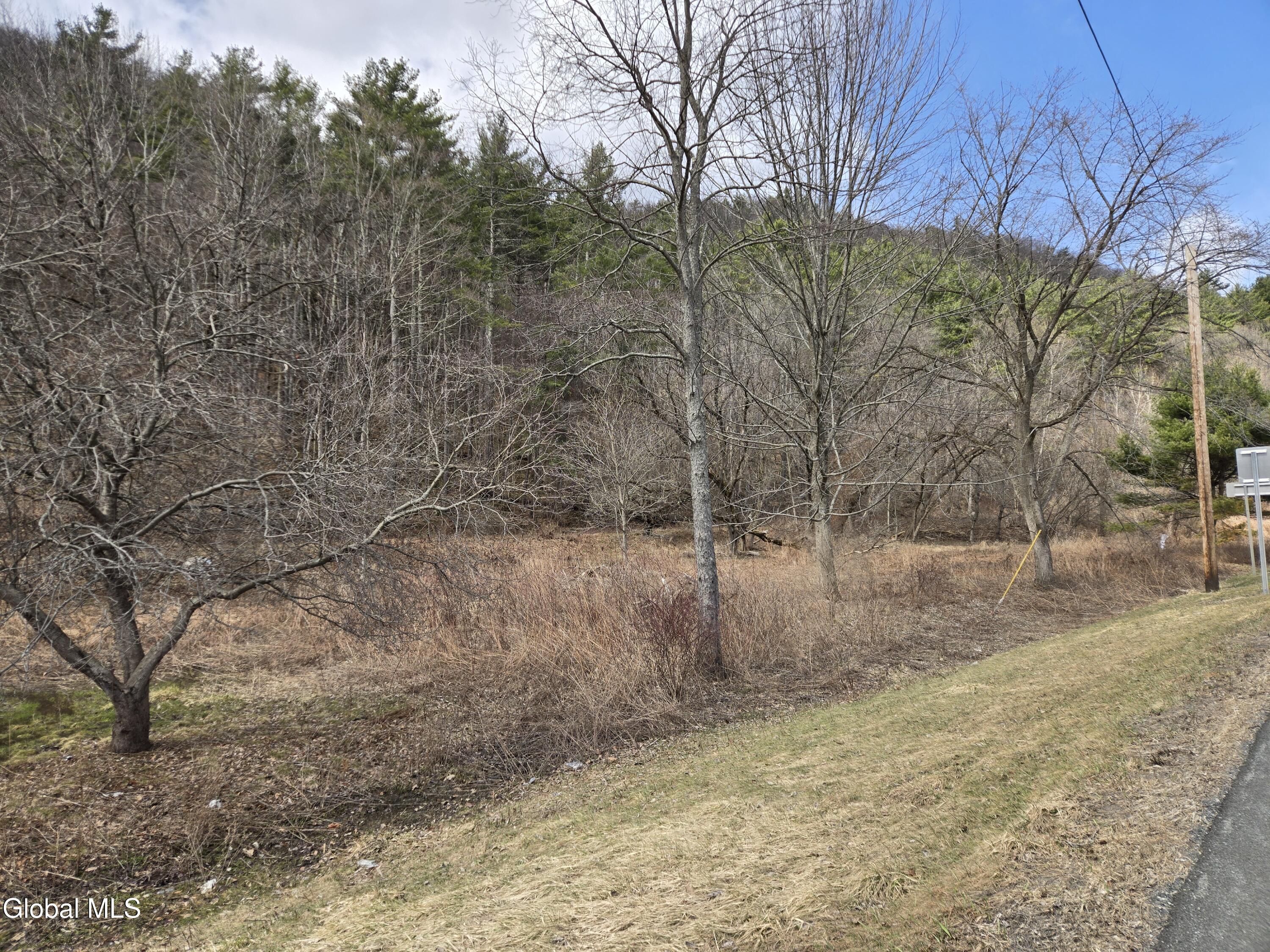 0 Ny 22 North Petersburgh NY 12138