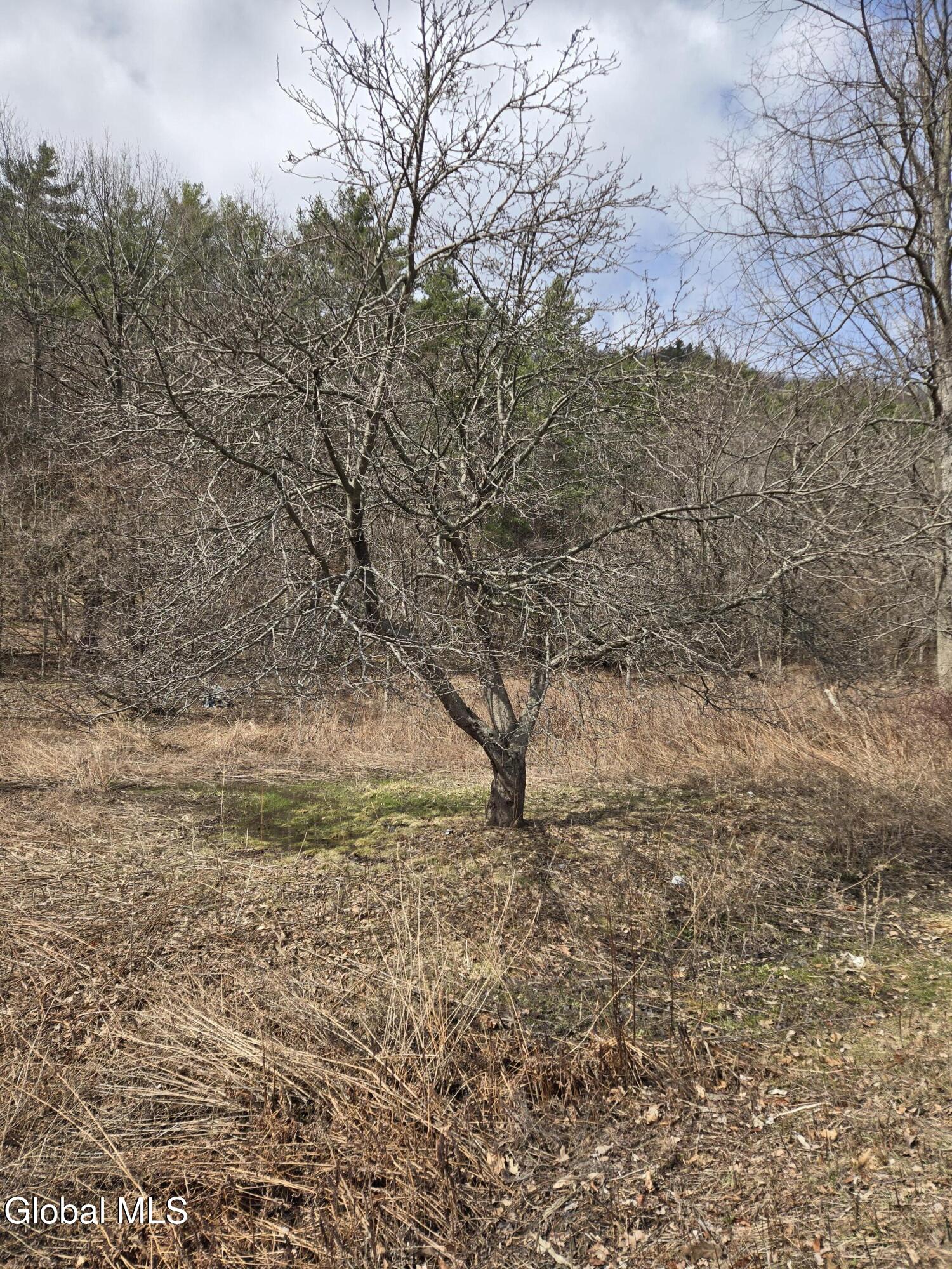 0 Ny 22 North Petersburgh NY 12138