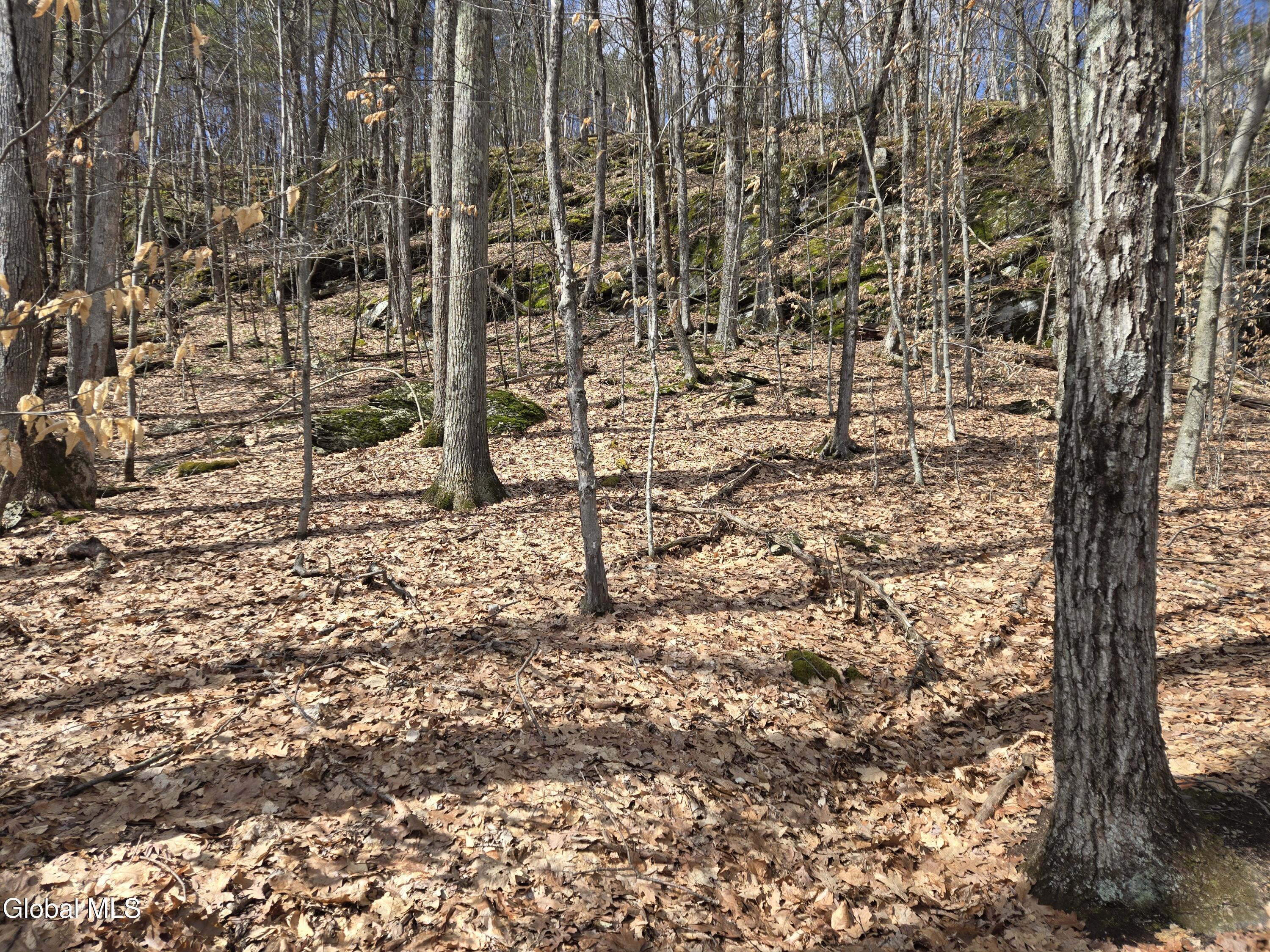 0 Ny 22 North Petersburgh NY 12138