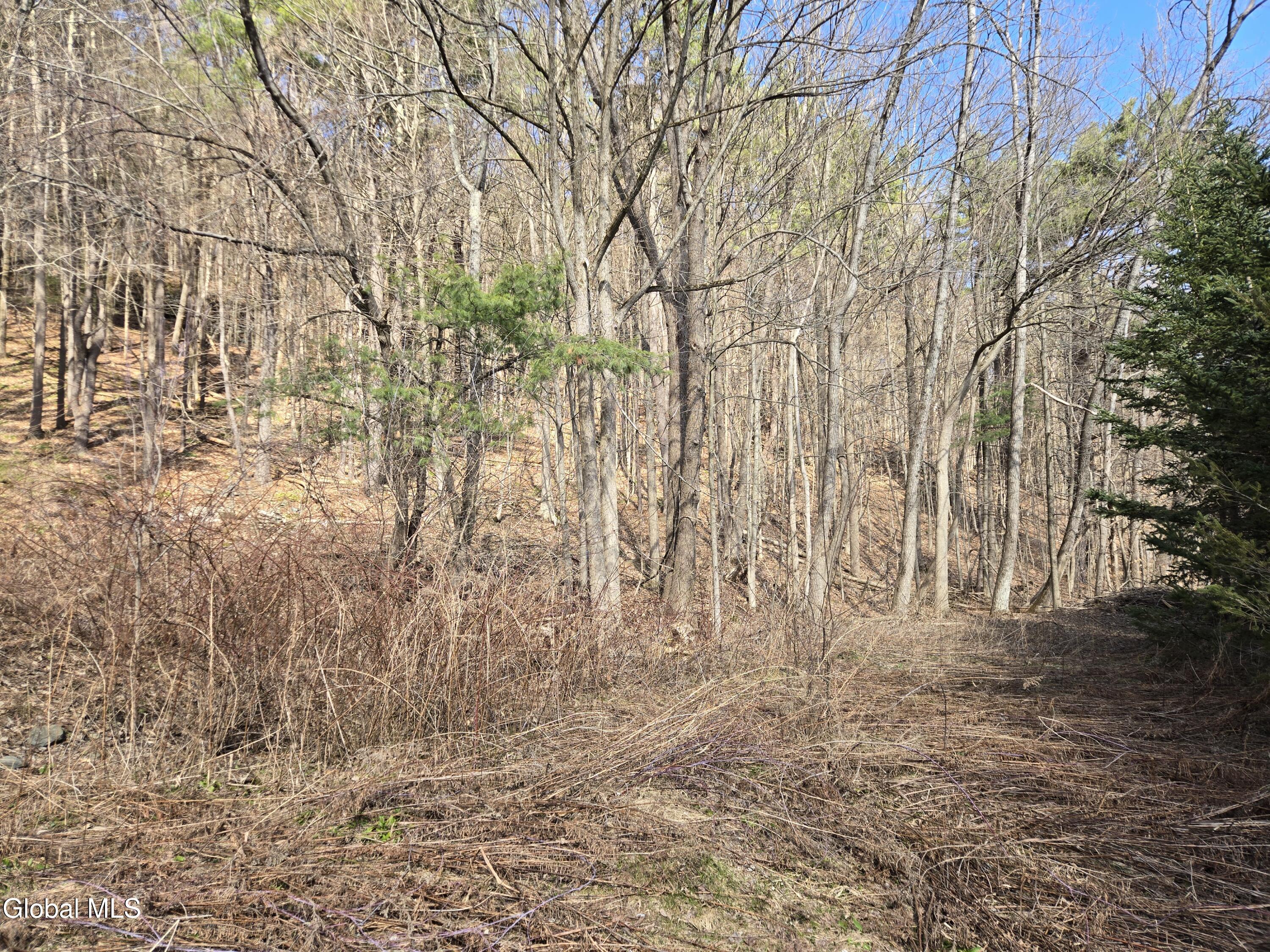 0 Ny 22 North Petersburgh NY 12138