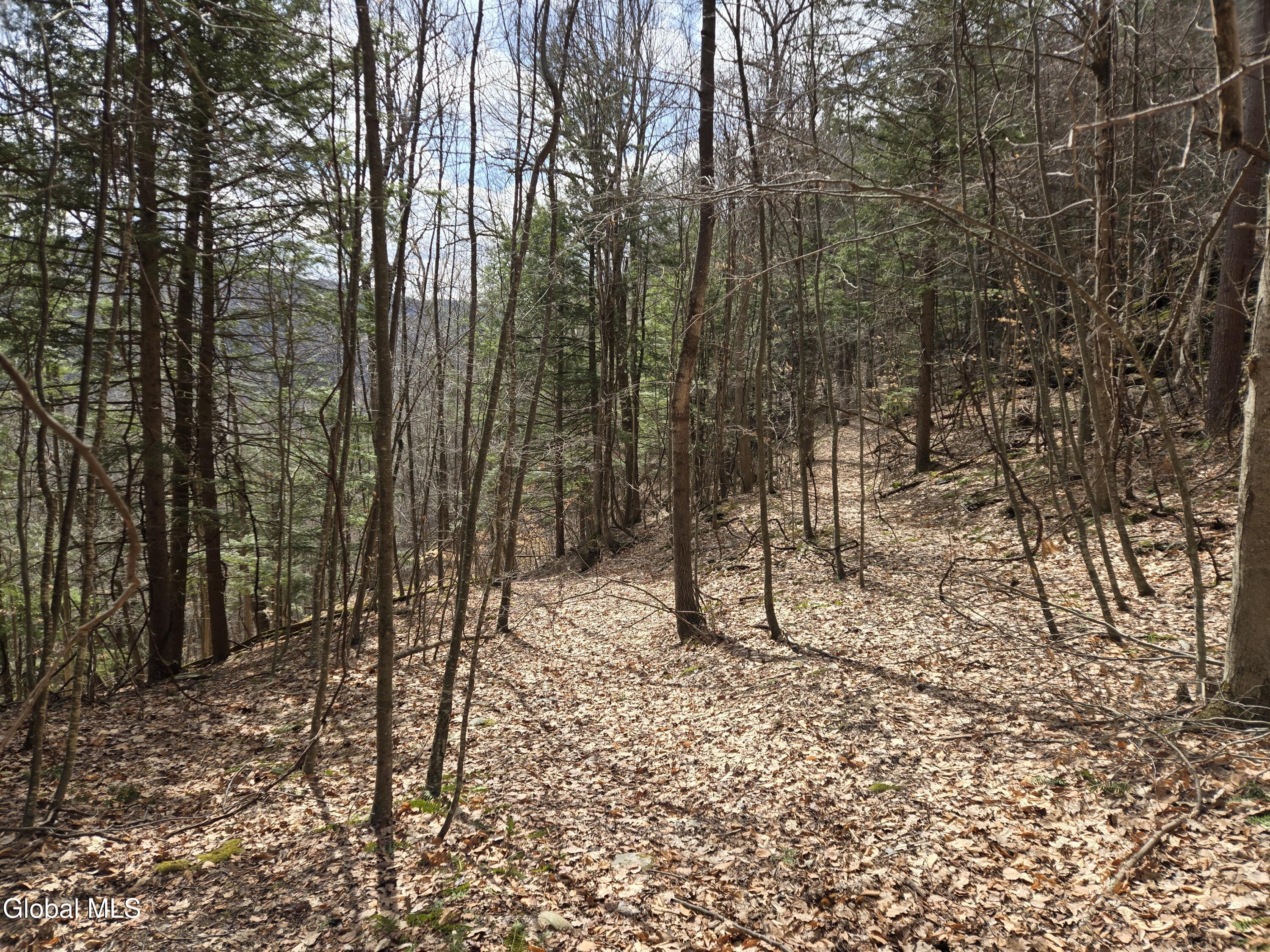 0 Ny 22 North Petersburgh NY 12138