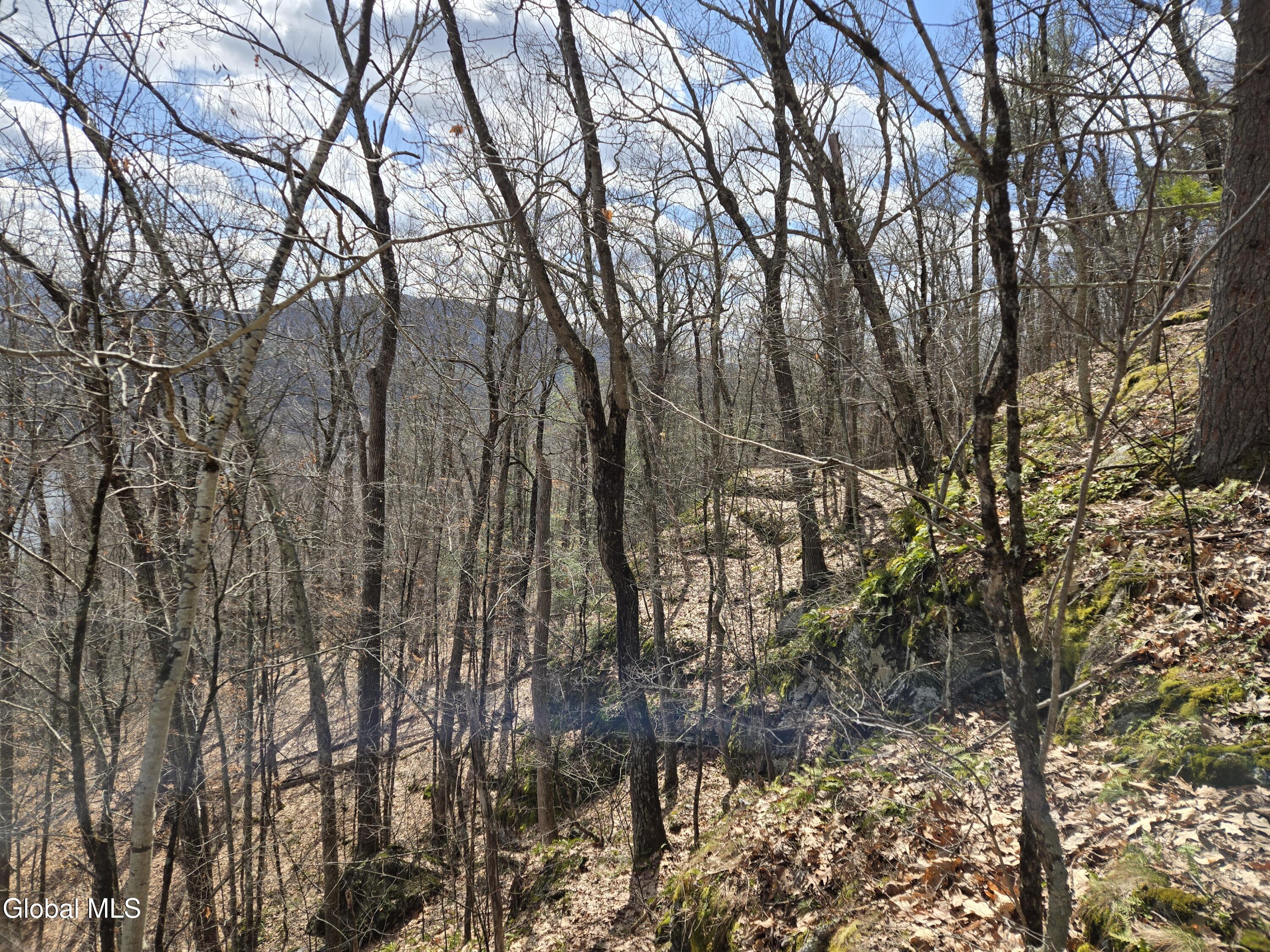 0 Ny 22 North Petersburgh NY 12138