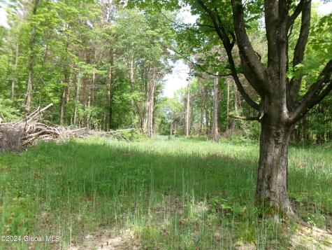 637 Chestnut Street Sharon Springs NY 13459