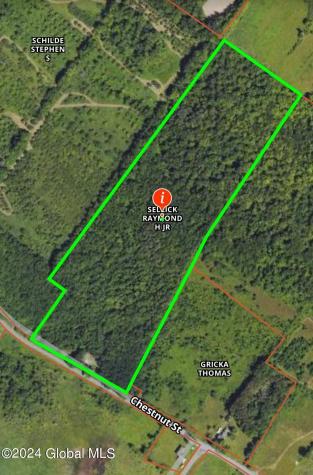 637 Chestnut Street Sharon Springs NY 13459