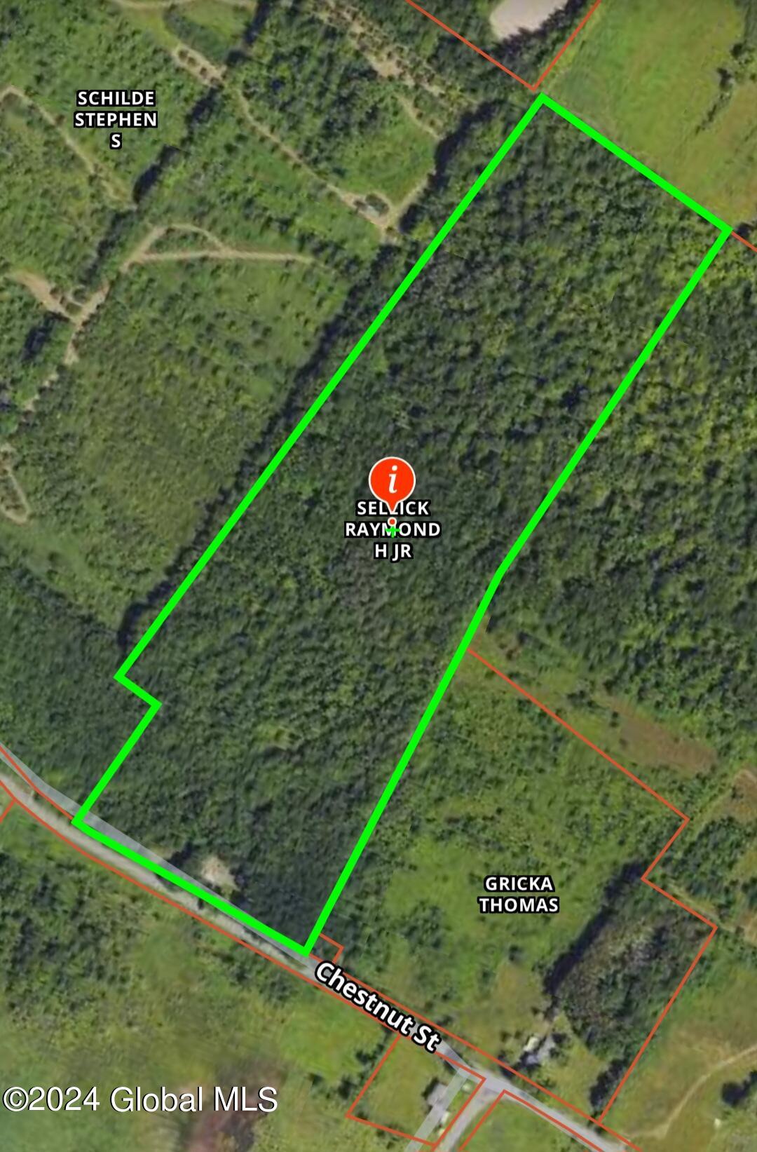 637 Chestnut Street Sharon Springs NY 13459