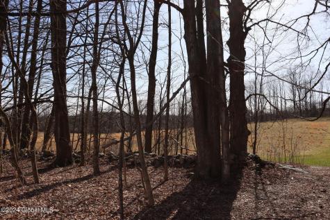 1 Chuck Hollow Drive Saratoga Springs NY 12020