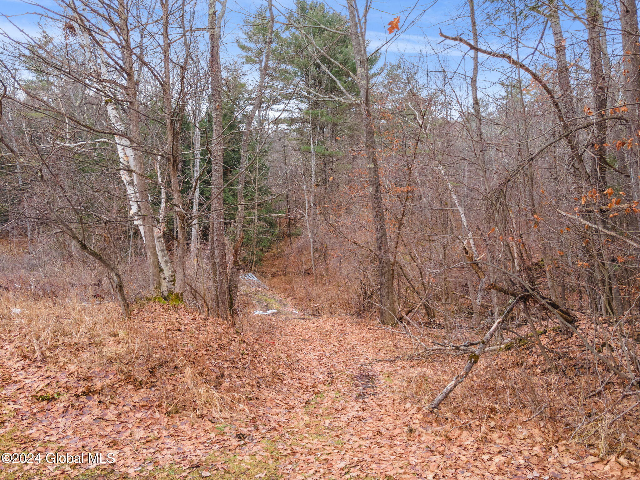 258 Engle Road Schoharie NY 12157