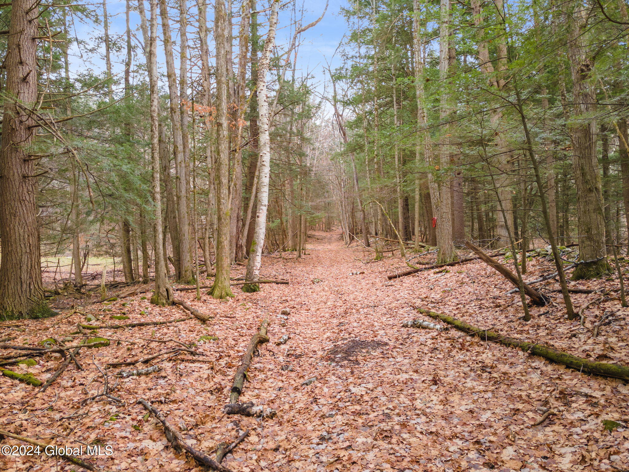 258 Engle Road Schoharie NY 12157