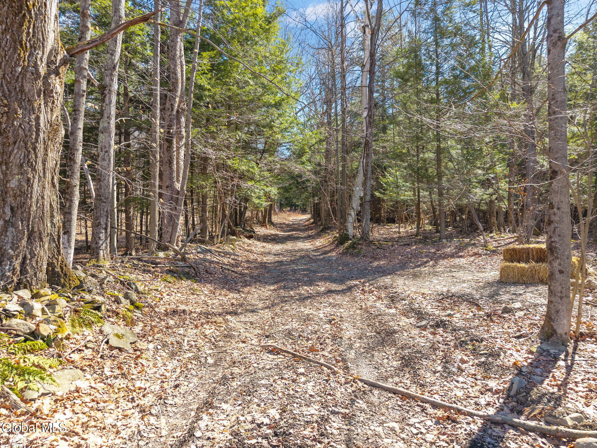 258 Engle Road Schoharie NY 12157