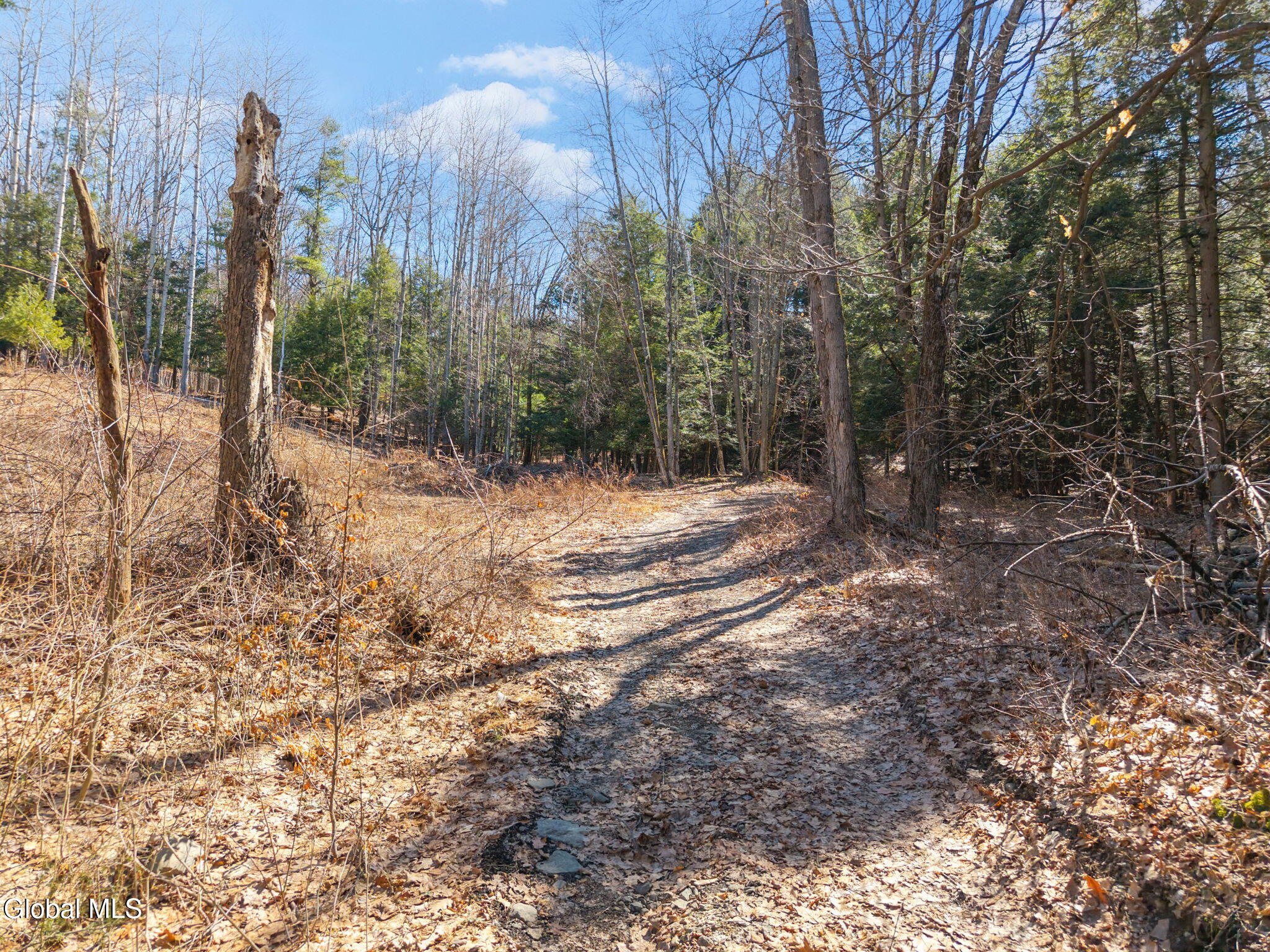 258 Engle Road Schoharie NY 12157