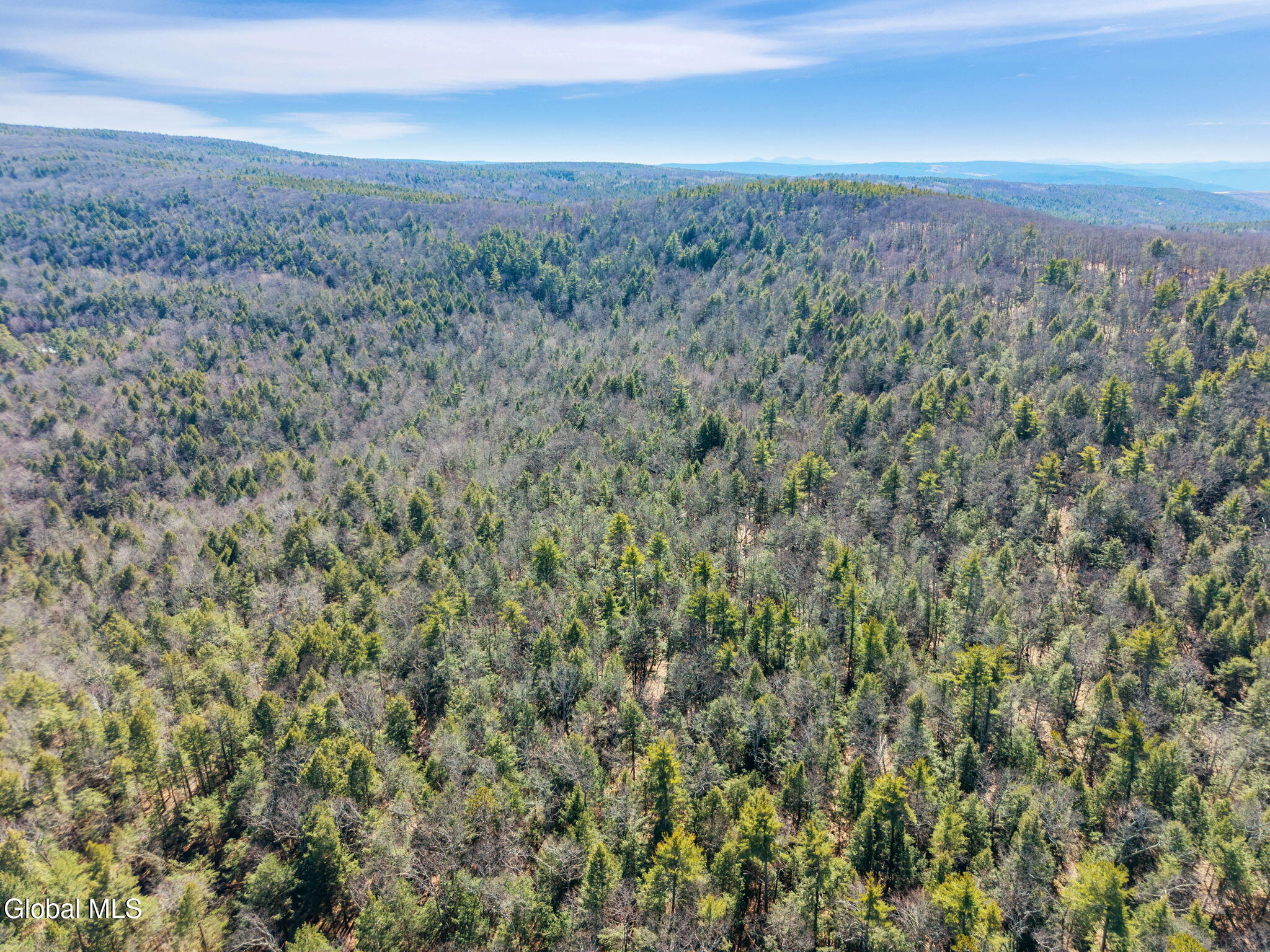 258 Engle Road Schoharie NY 12157