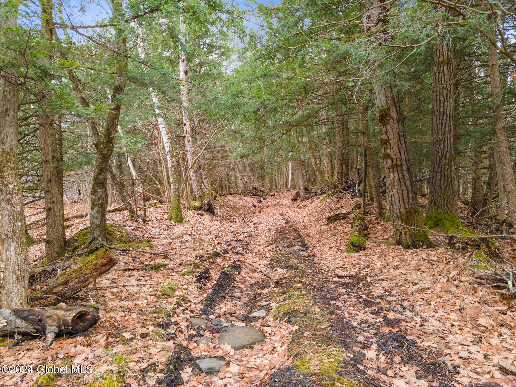 258 Engle Road Schoharie NY 12157