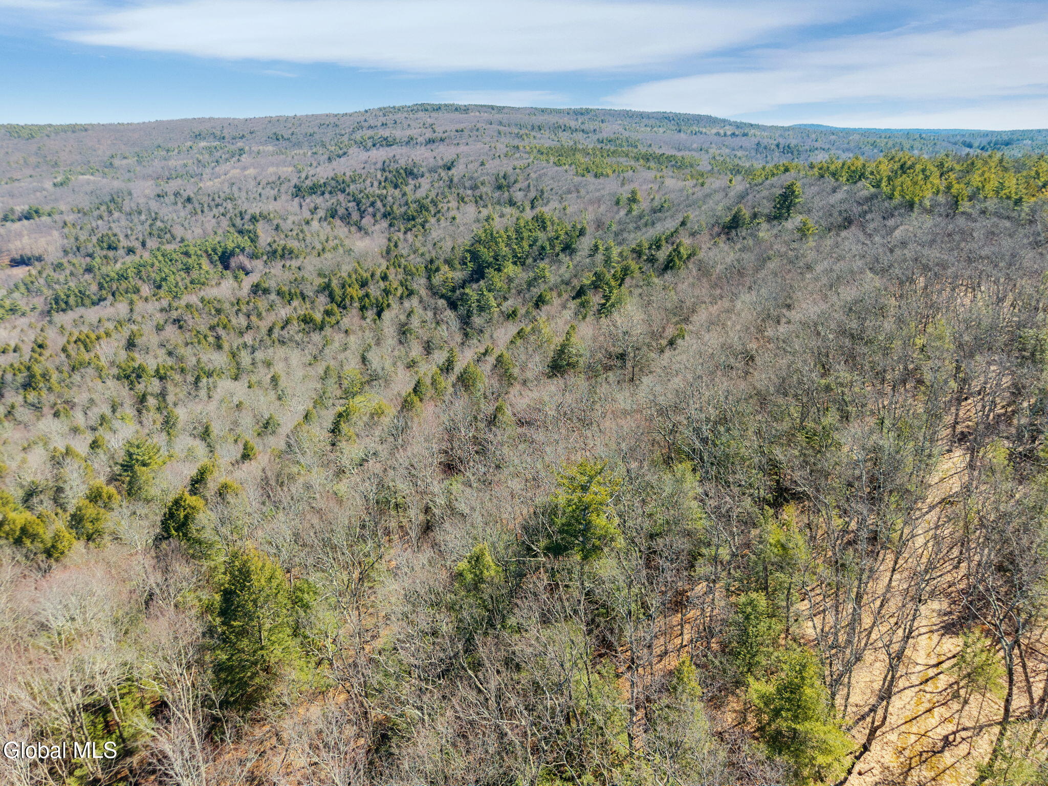 258 Engle Road Schoharie NY 12157