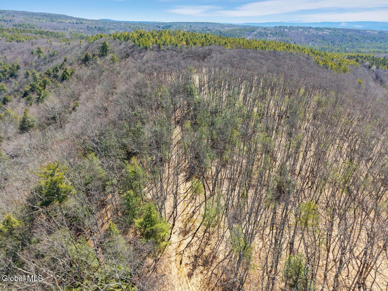 258 Engle Road Schoharie NY 12157