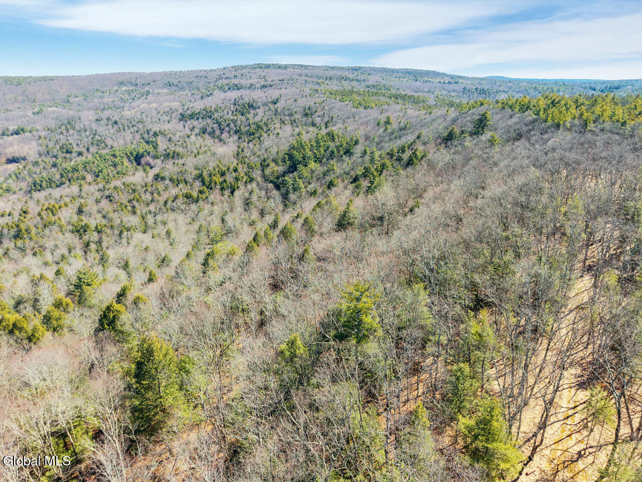258 Engle Road Schoharie NY 12157
