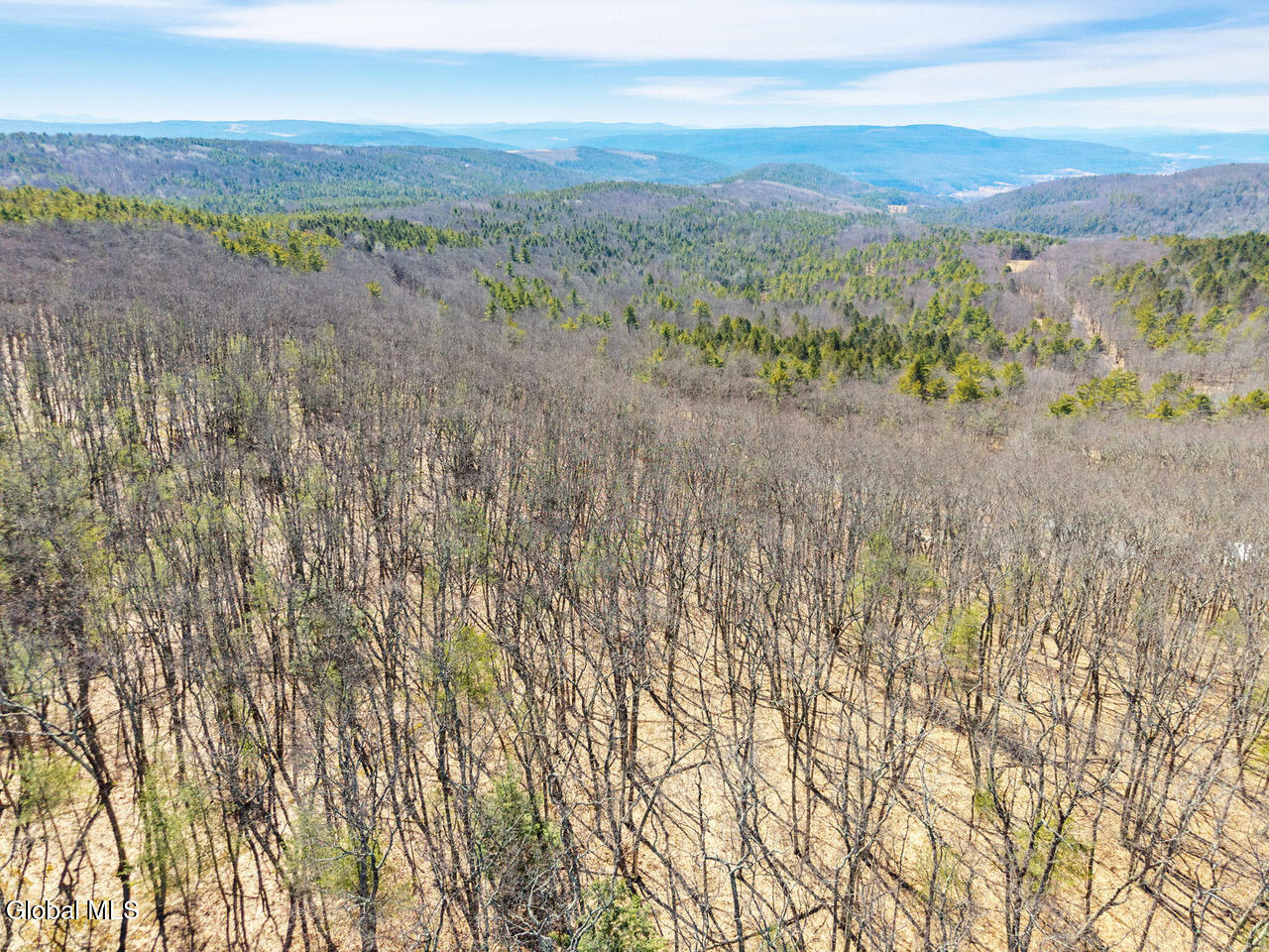 258 Engle Road Schoharie NY 12157