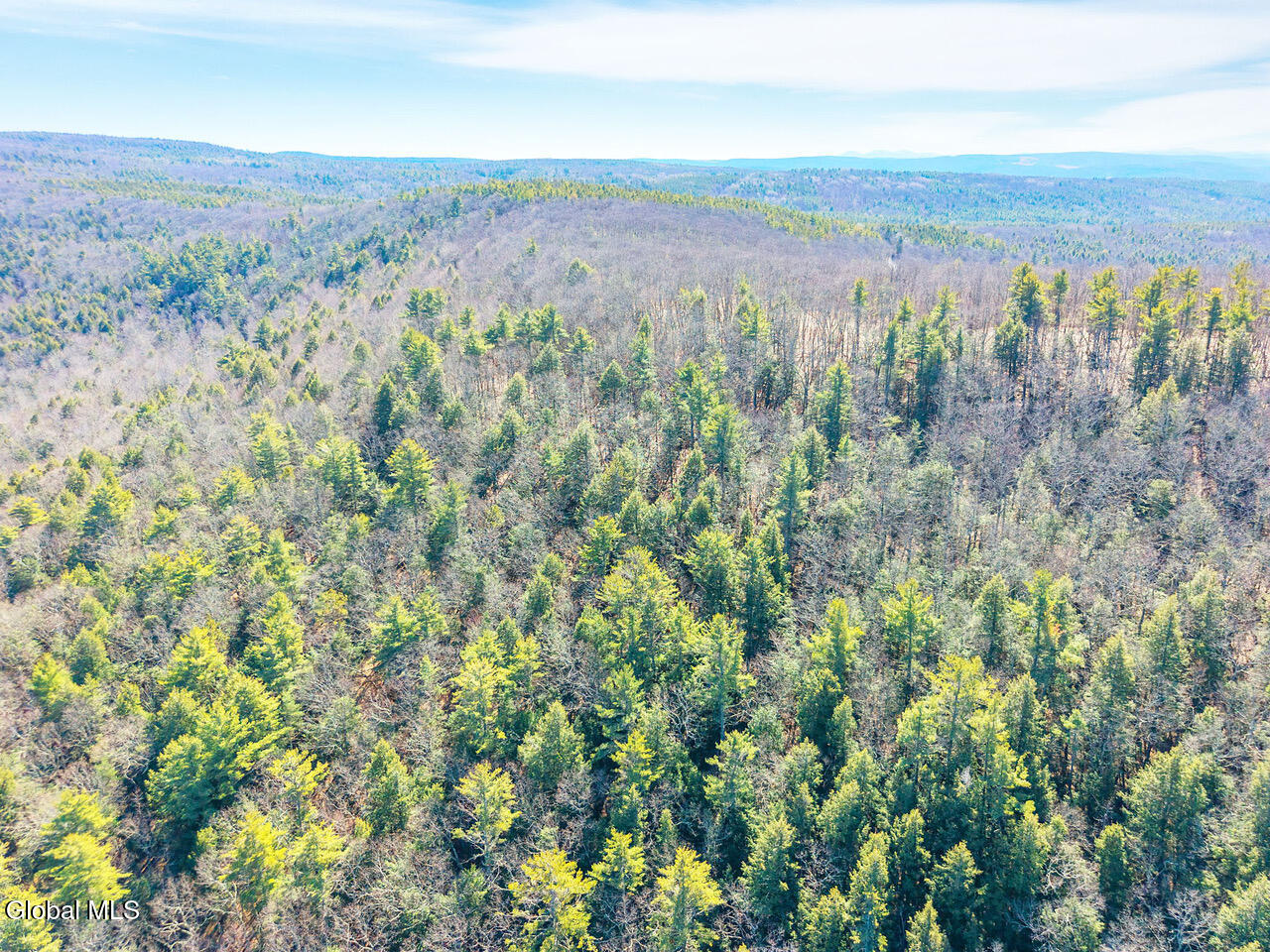 258 Engle Road Schoharie NY 12157