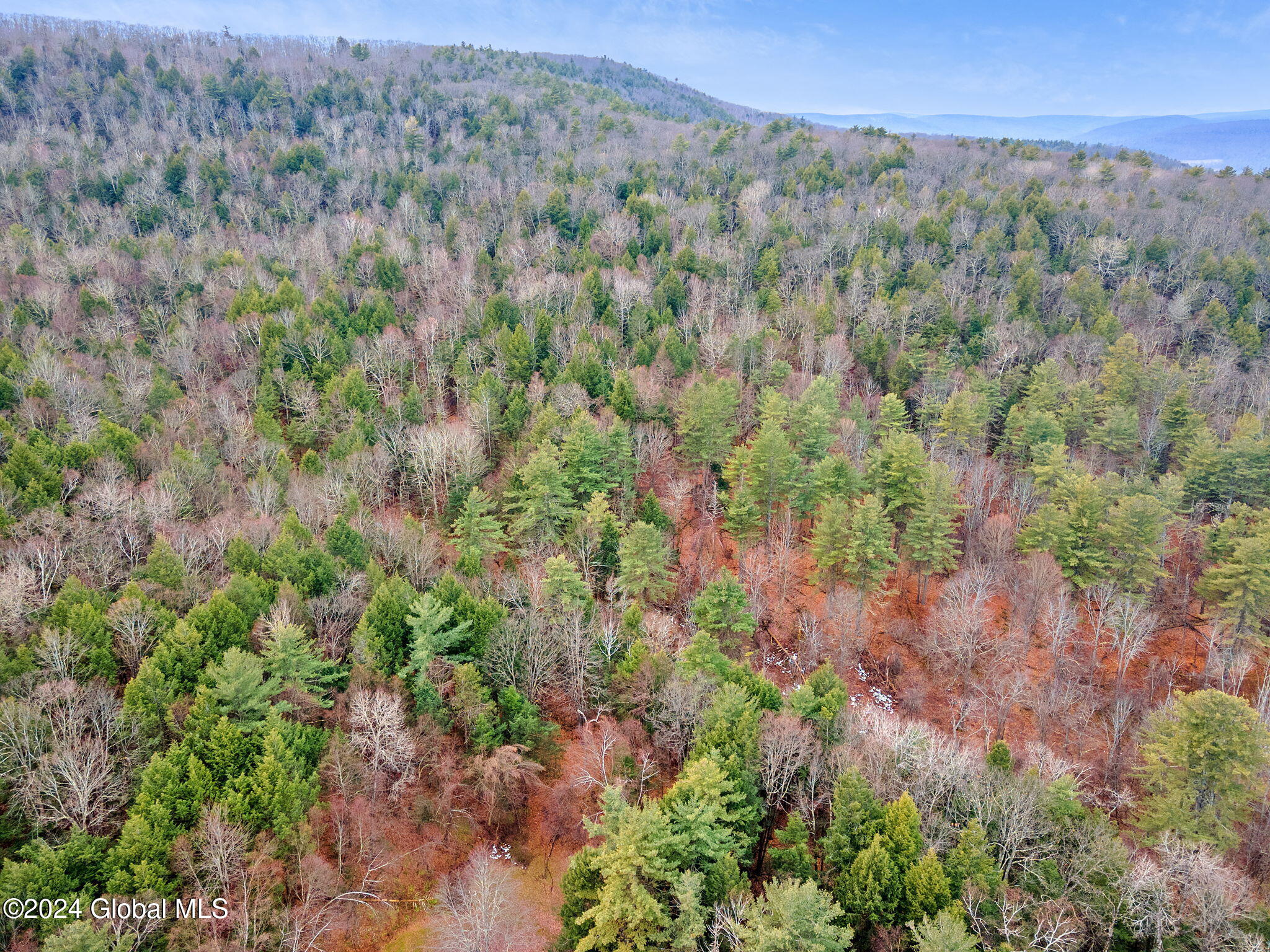 258 Engle Road Schoharie NY 12157